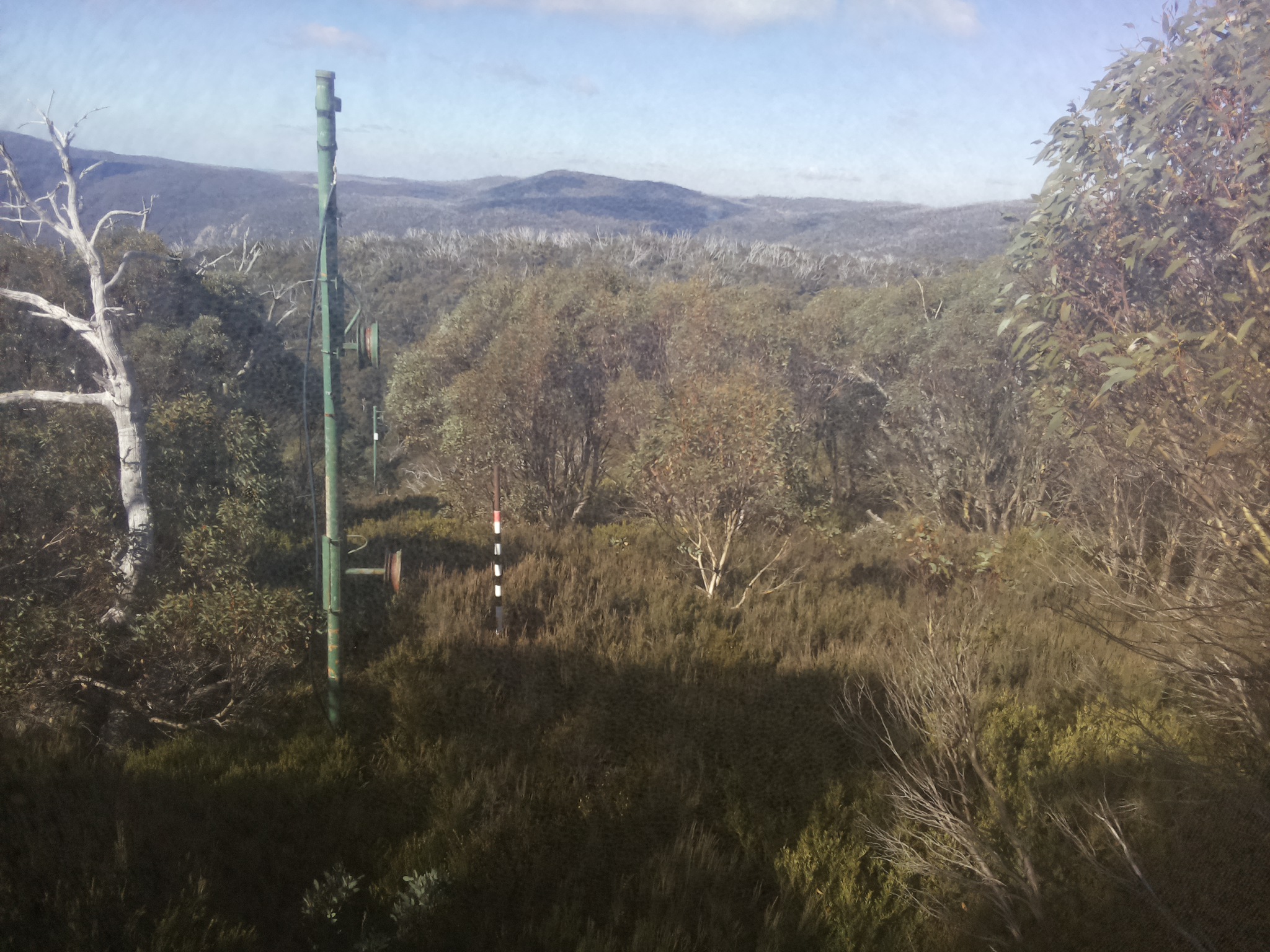 Bogong Web Cam 11:00am Friday 16th of May 2025