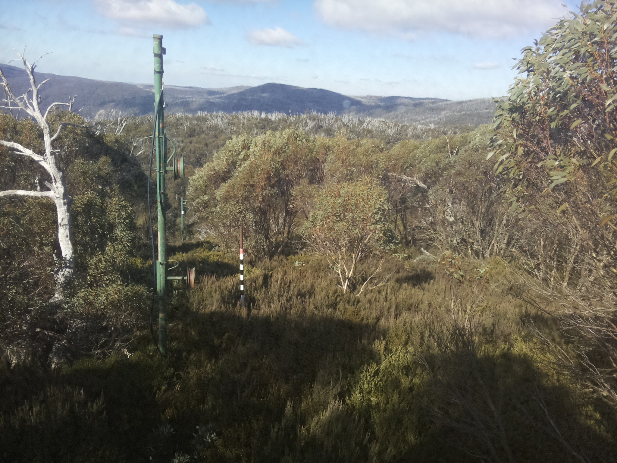 Bogong Web Cam 11:30am Friday 16th of May 2025