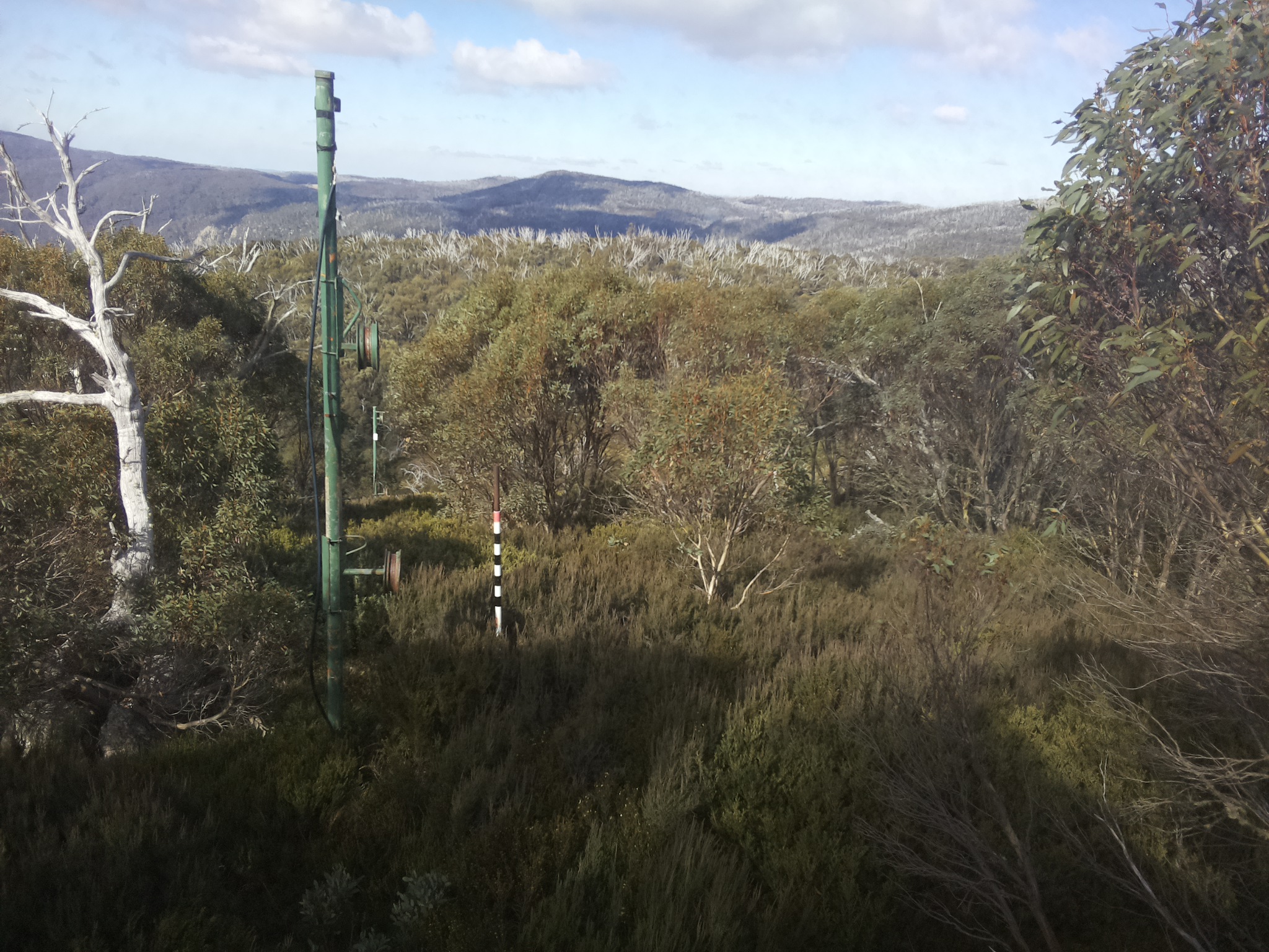 Bogong Web Cam 11:40am Friday 16th of May 2025
