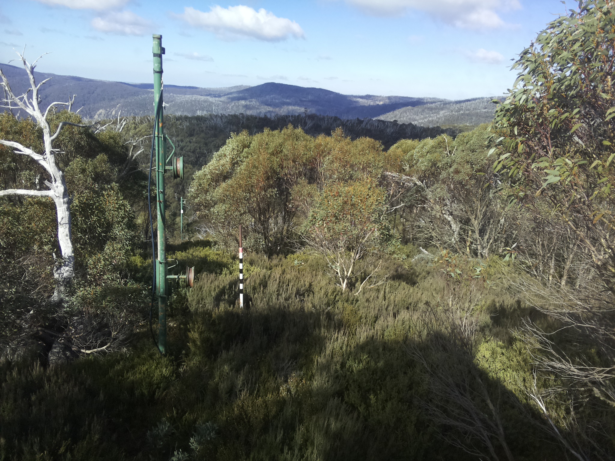 Bogong Web Cam 11:50am Friday 16th of May 2025
