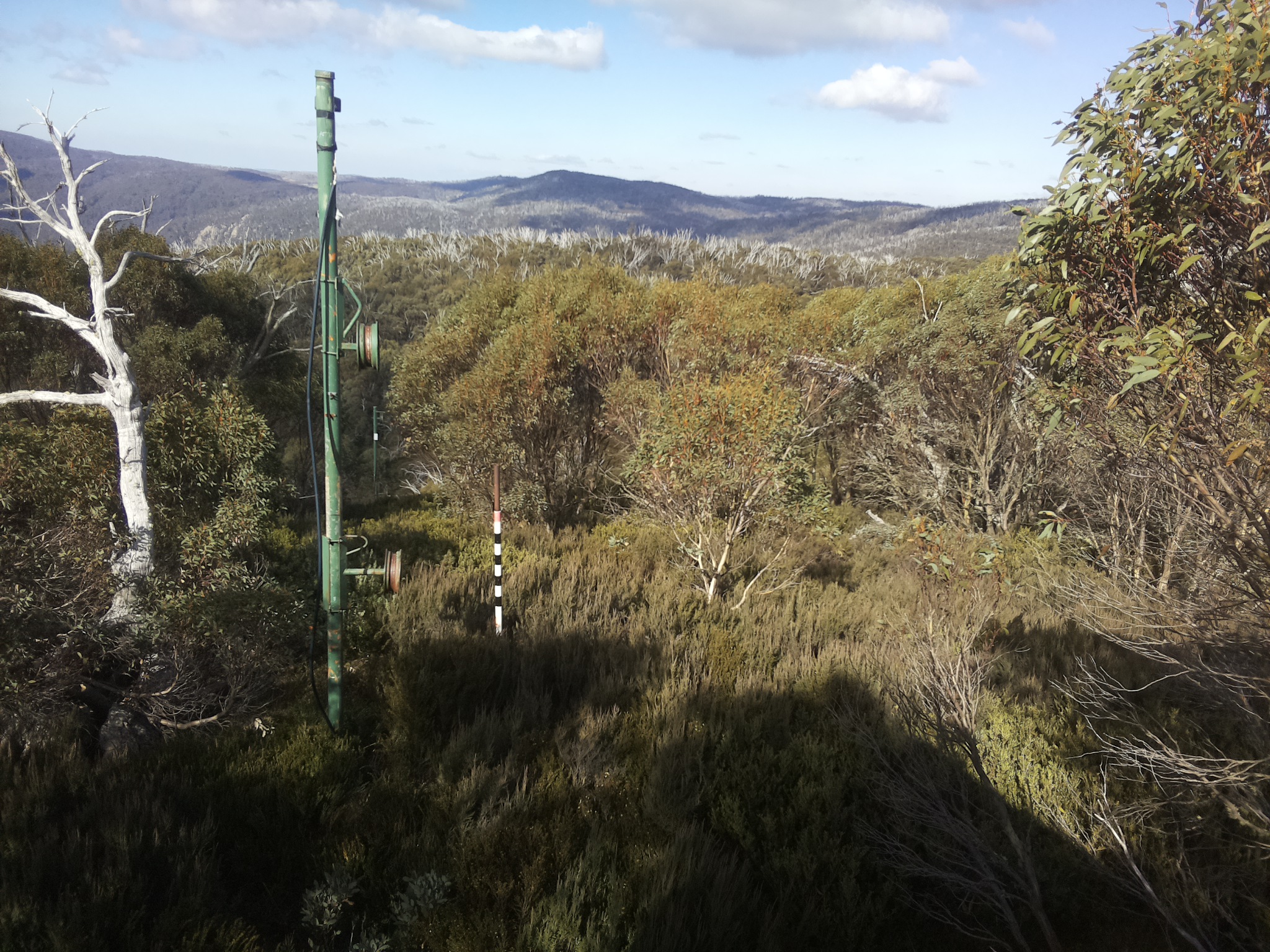 Bogong Web Cam 12:00pm Friday 16th of May 2025