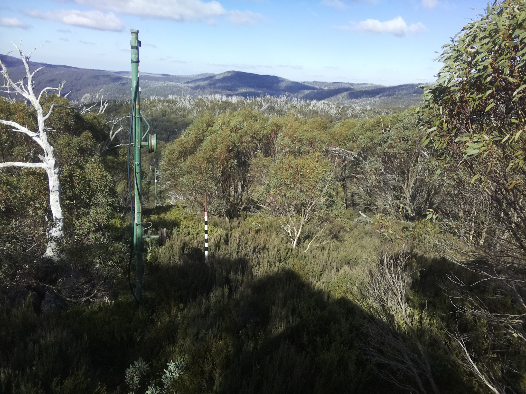 Bogong Web Cam 12:20pm Friday 16th of May 2025