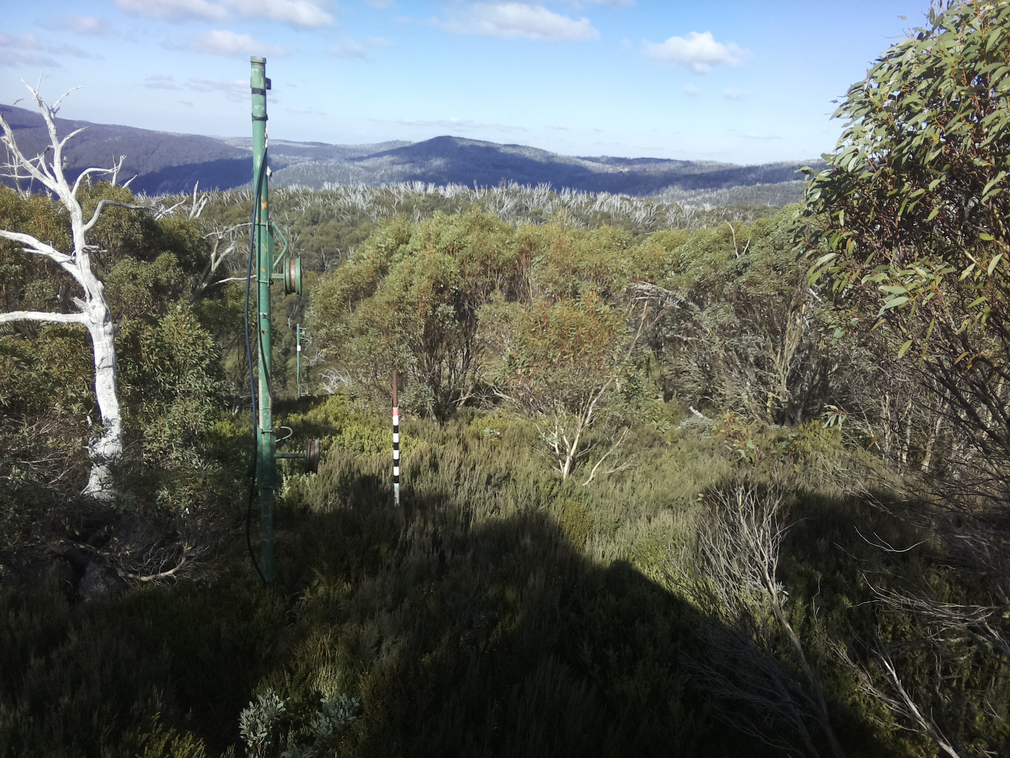 Bogong Web Cam 12:30pm Friday 16th of May 2025