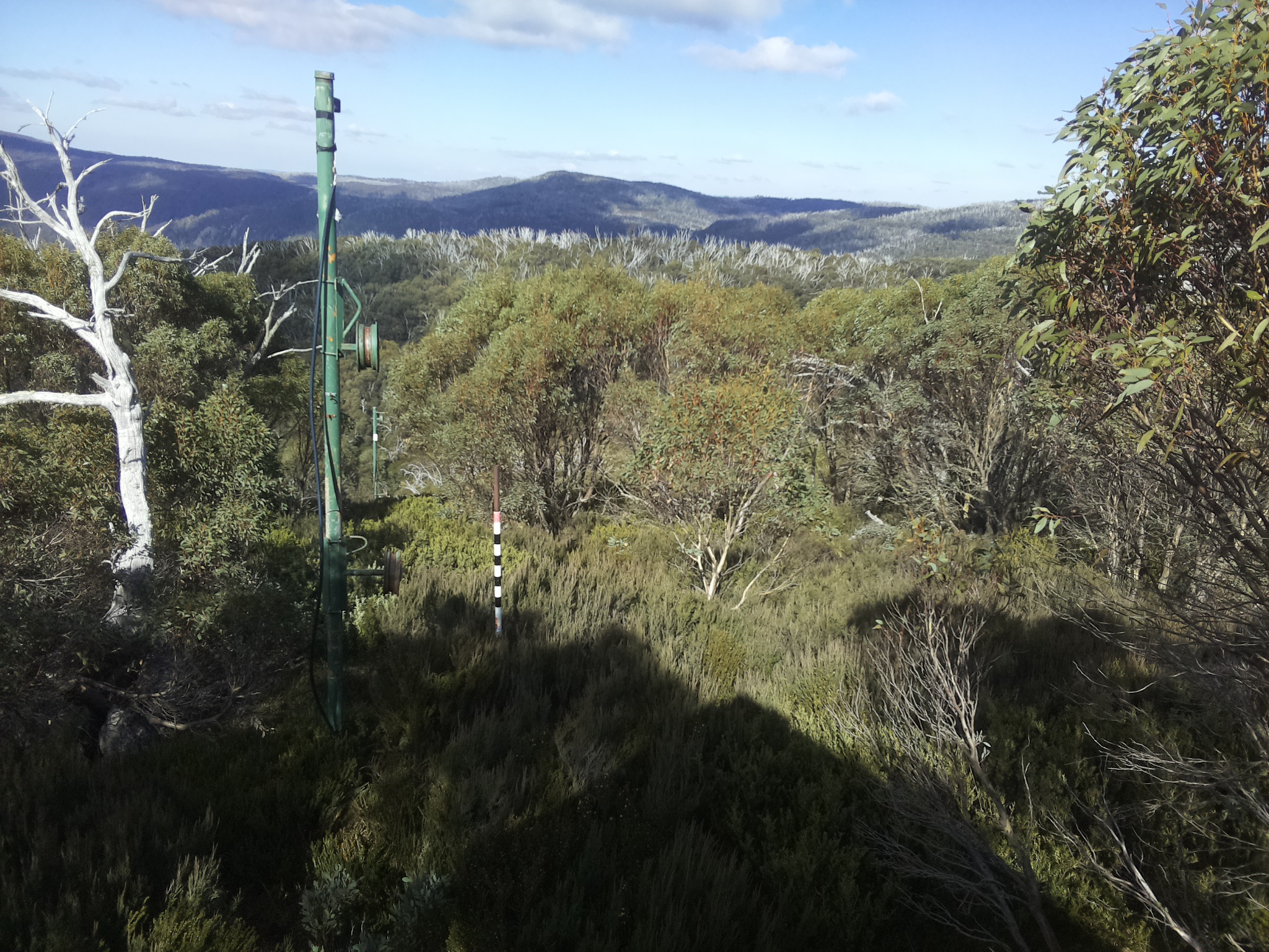 Bogong Web Cam 12:40pm Friday 16th of May 2025