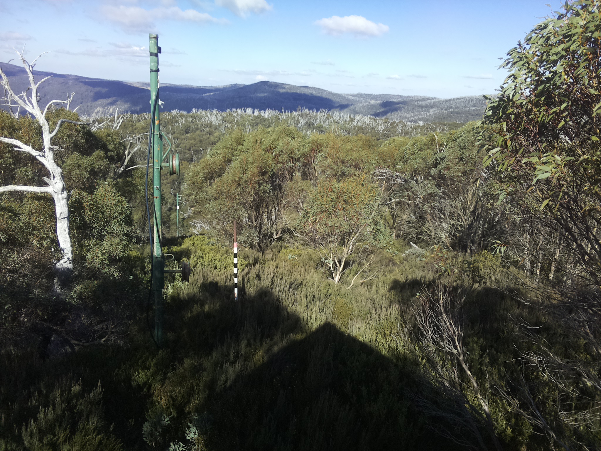 Bogong Web Cam 12:50pm Friday 16th of May 2025