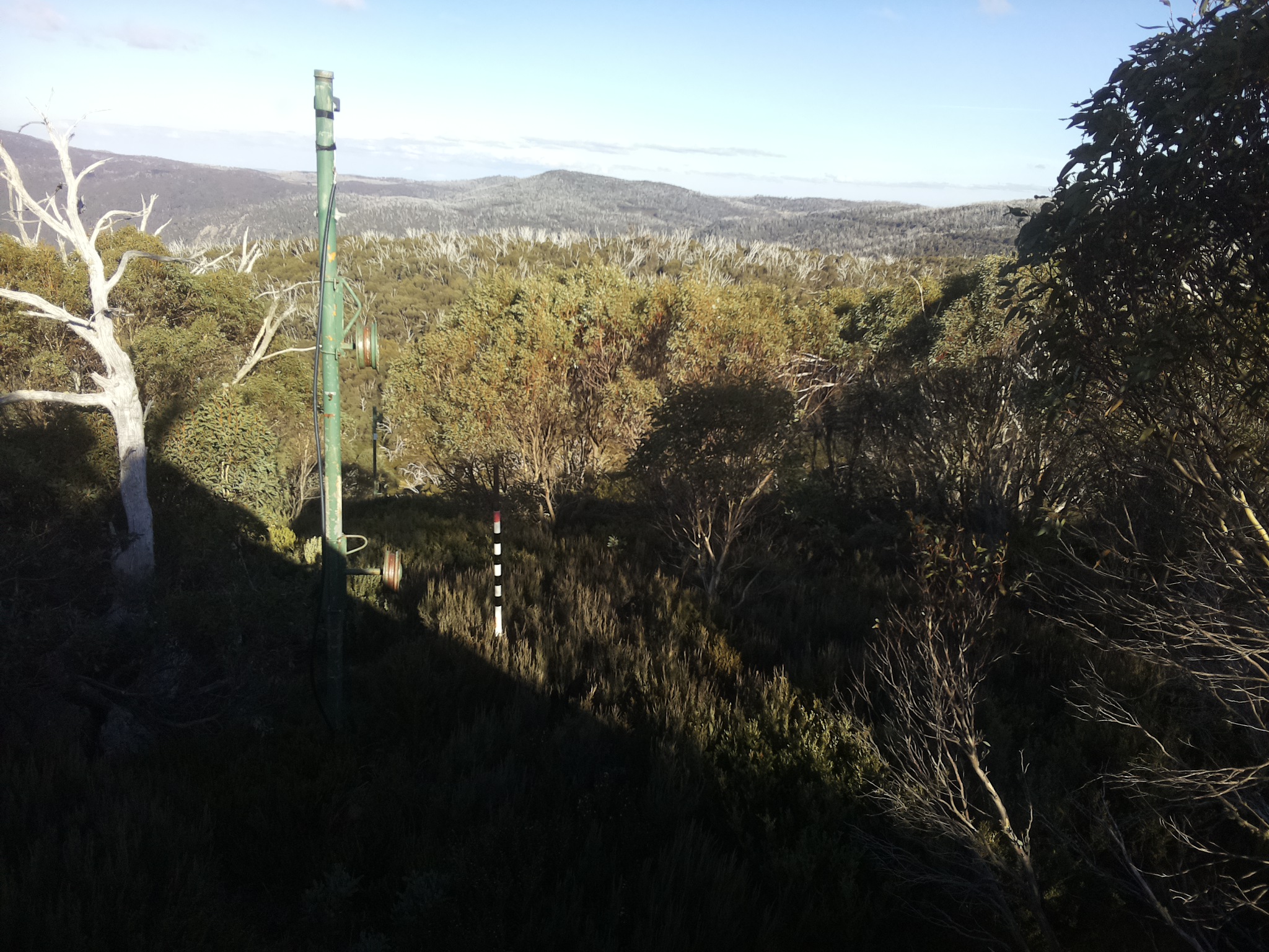 Bogong Web Cam 3:00pm Friday 16th of May 2025