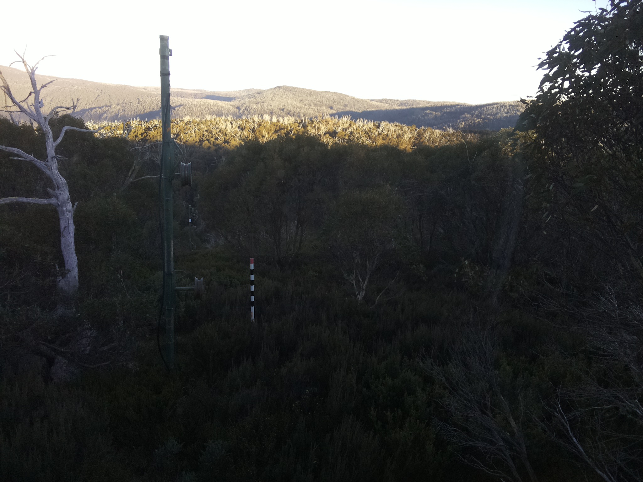 Bogong Web Cam 4:30pm Friday 16th of May 2025