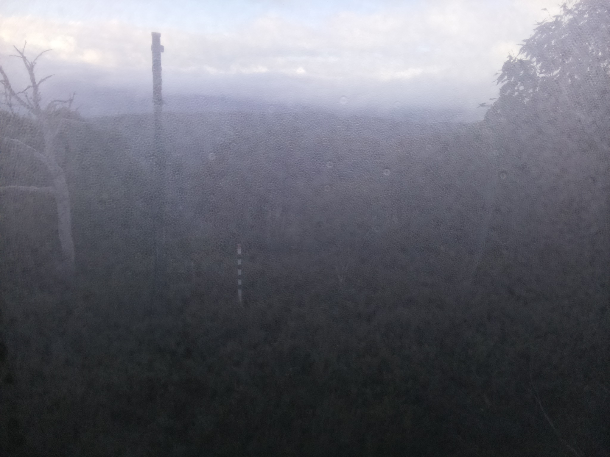 Bogong Web Cam 8:00am Saturday 17th of May 2025