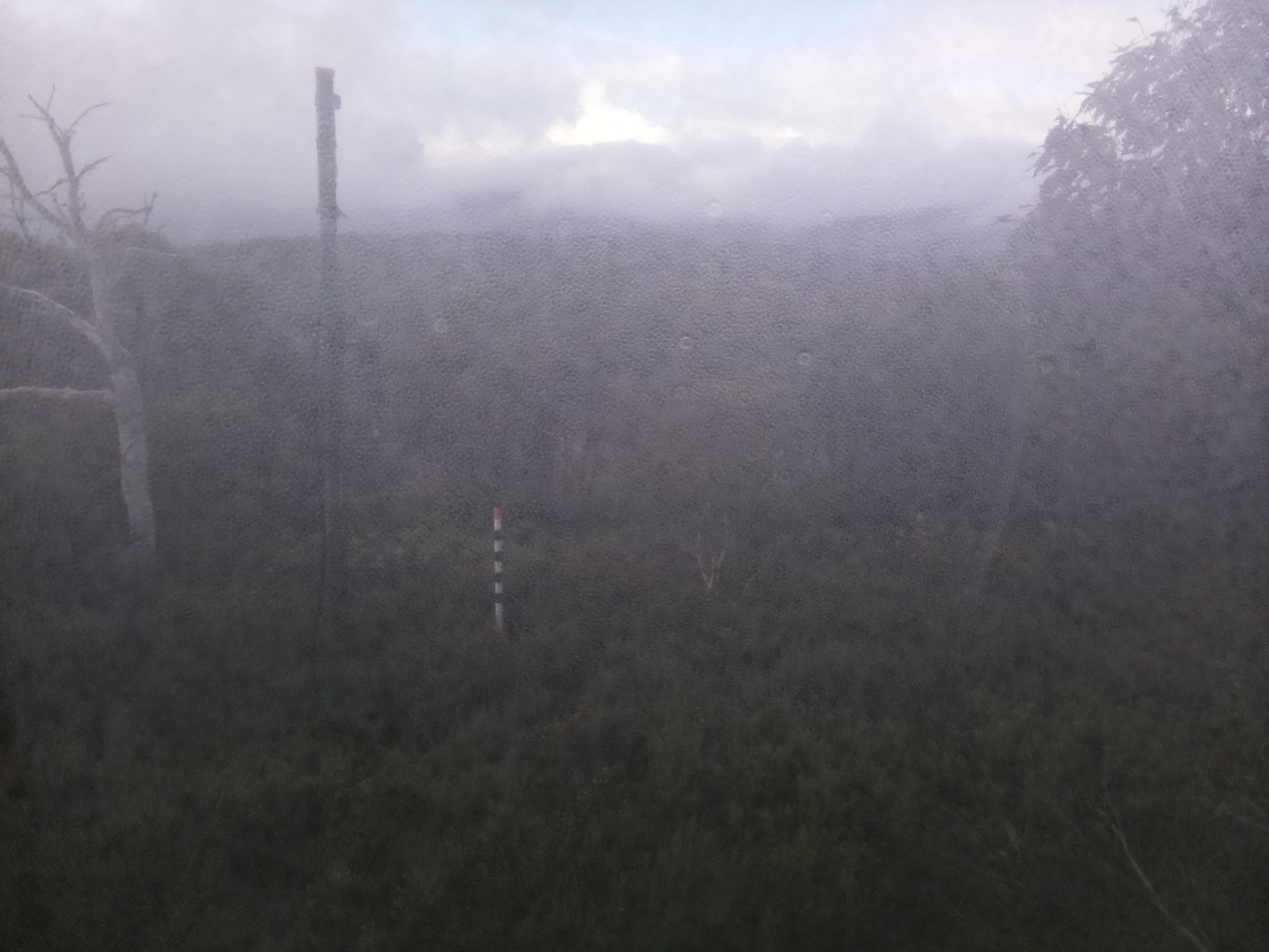 Bogong Web Cam 8:10am Saturday 17th of May 2025