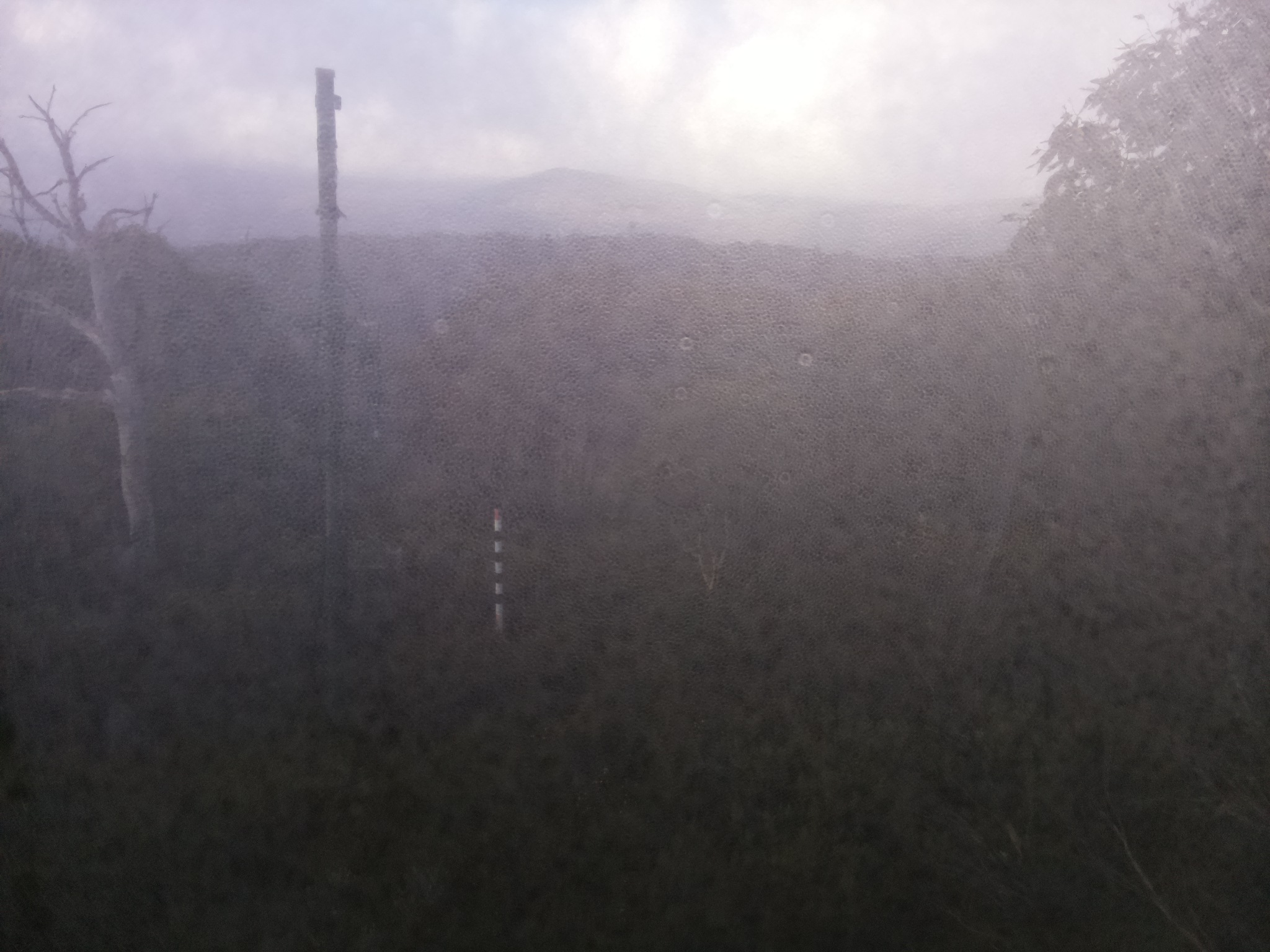 Bogong Web Cam 8:40am Saturday 17th of May 2025