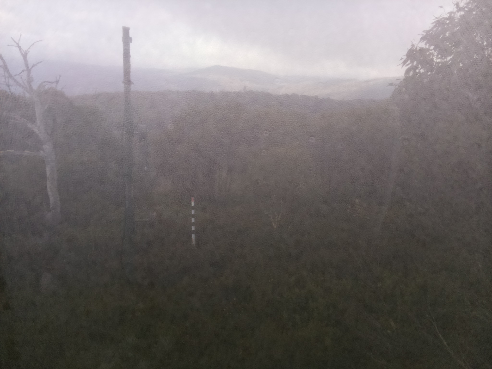 Bogong Web Cam 8:50am Saturday 17th of May 2025