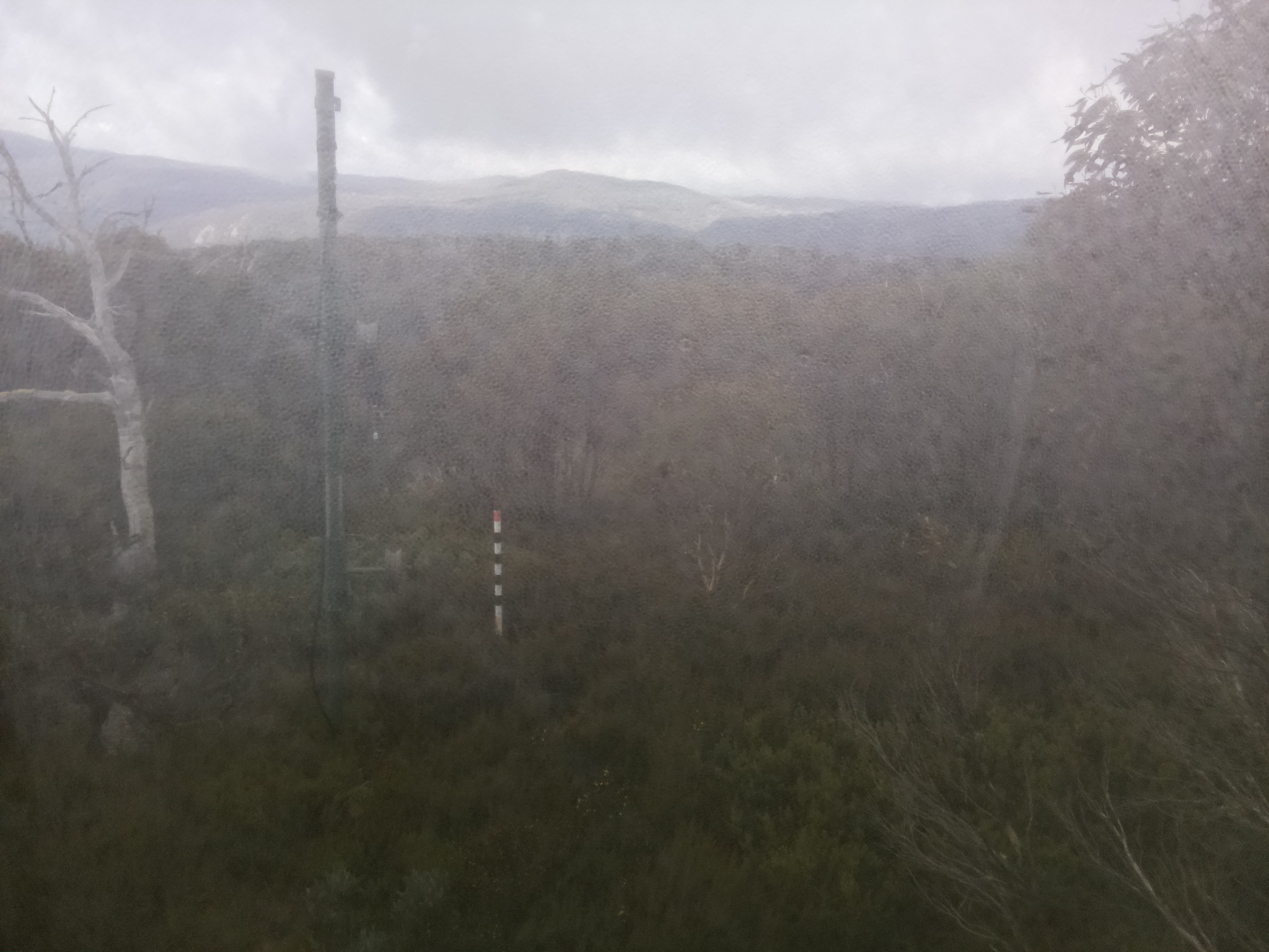 Bogong Web Cam 9:40am Saturday 17th of May 2025