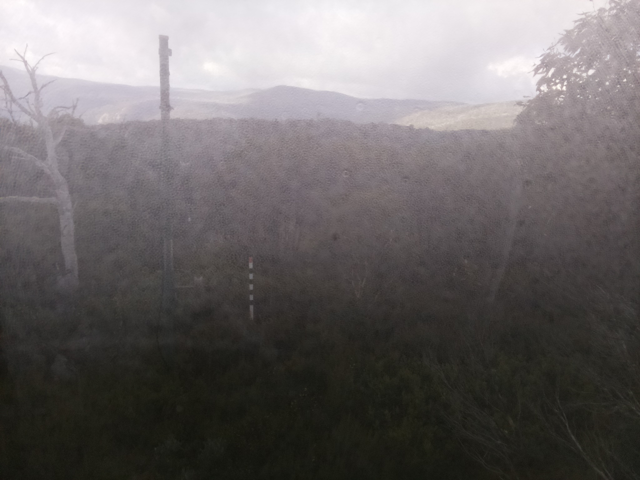 Bogong Web Cam 9:50am Saturday 17th of May 2025