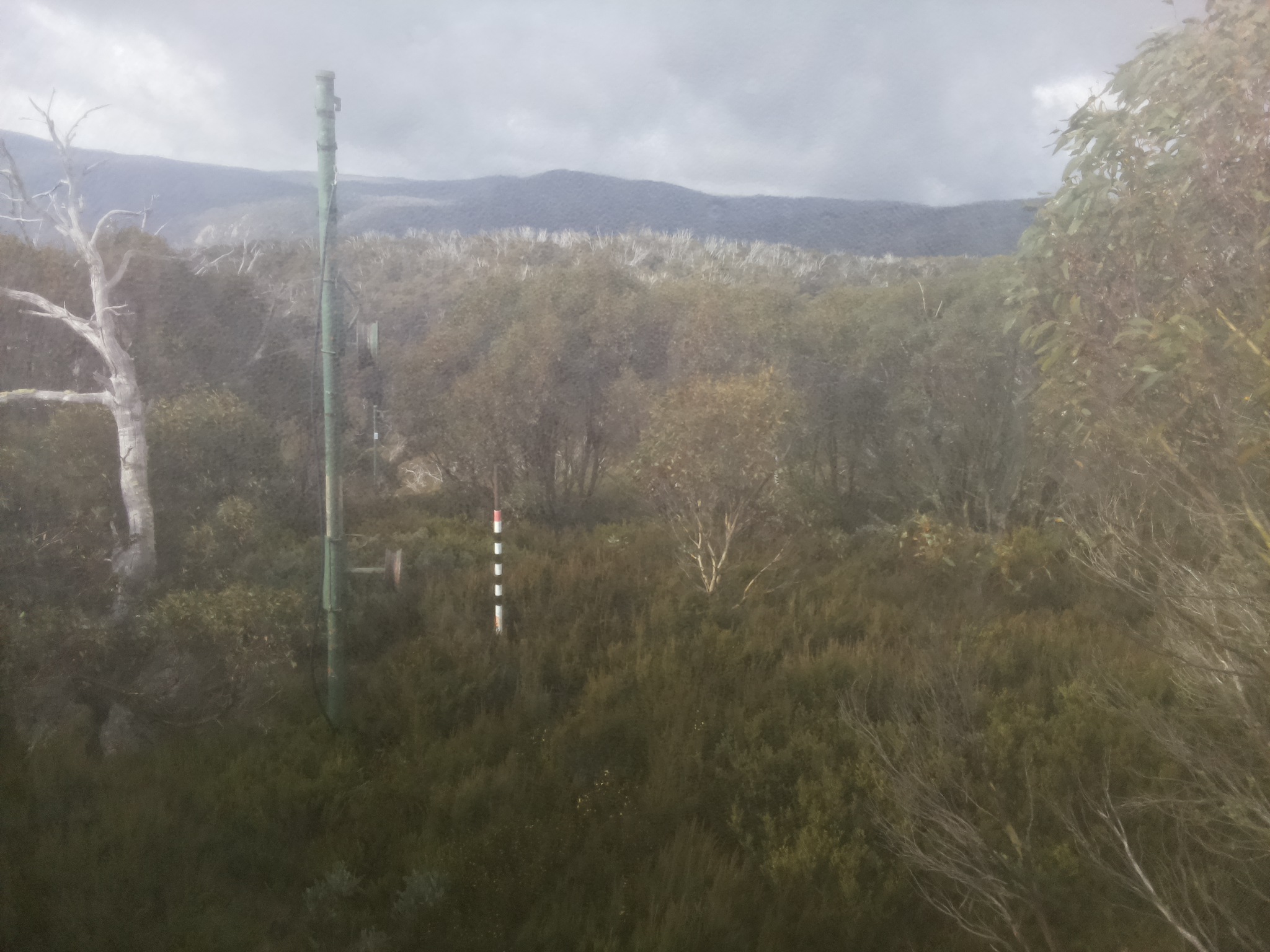 Bogong Web Cam 10:00am Saturday 17th of May 2025