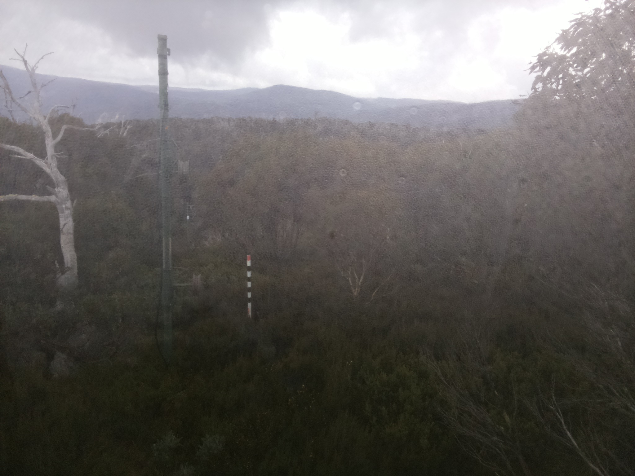 Bogong Web Cam 10:10am Saturday 17th of May 2025