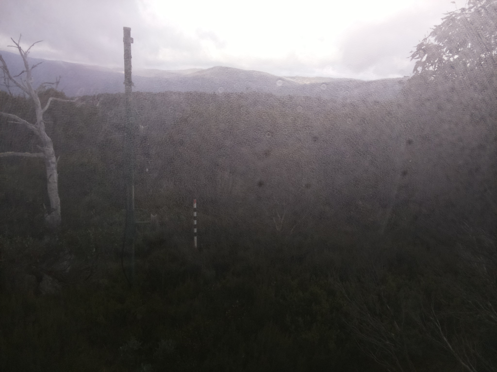 Bogong Web Cam 10:20am Saturday 17th of May 2025