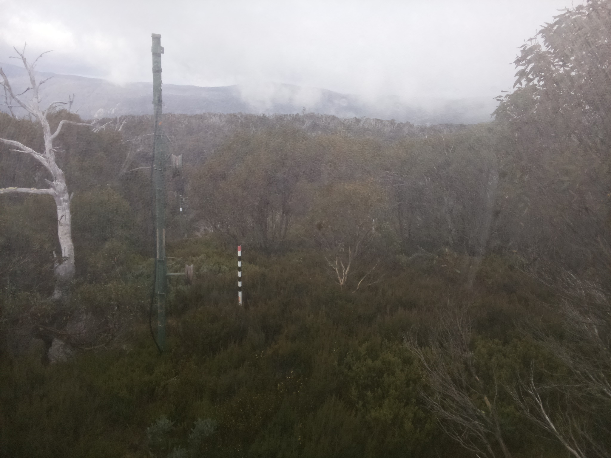 Bogong Web Cam 10:30am Saturday 17th of May 2025