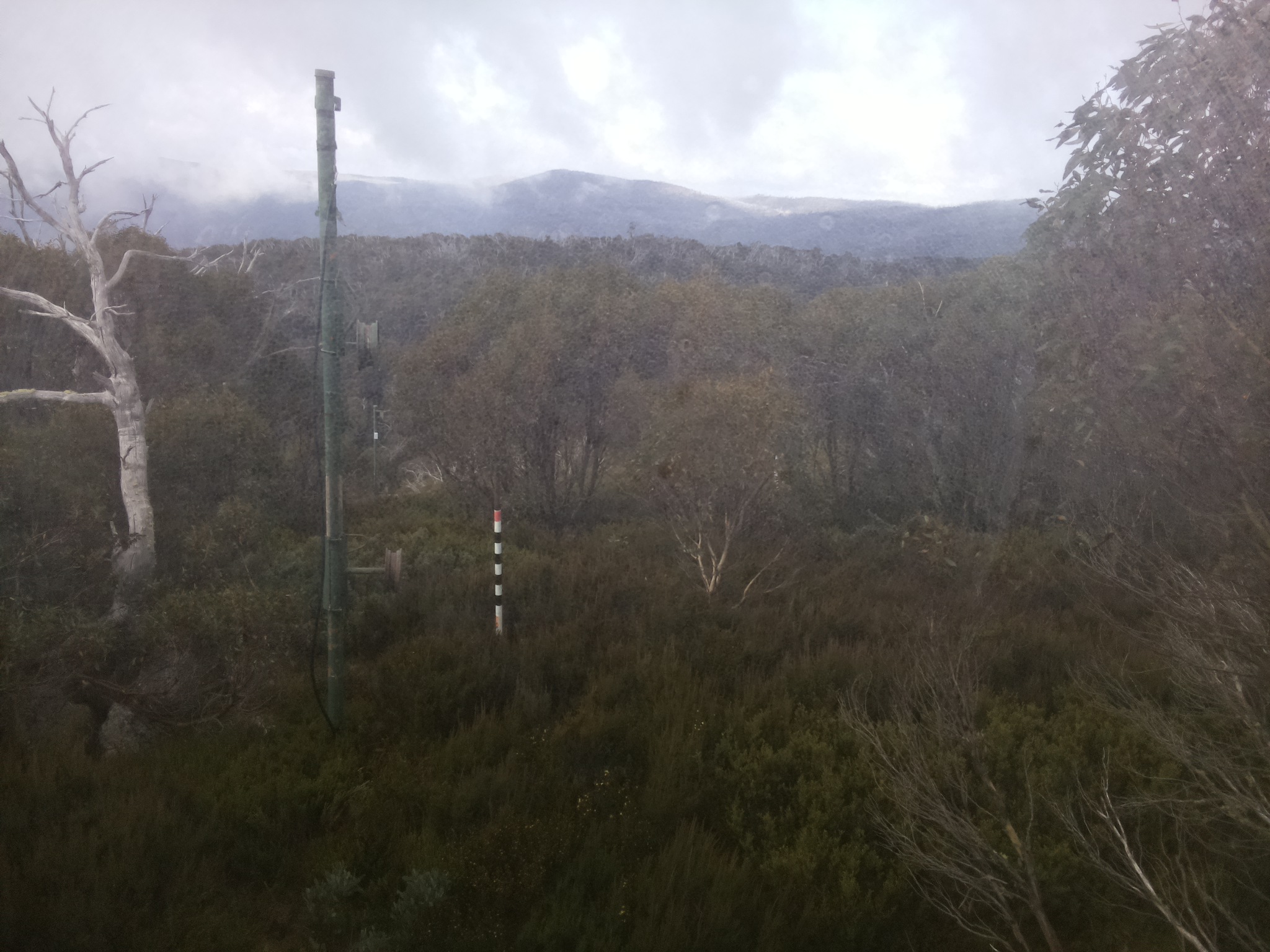 Bogong Web Cam 10:40am Saturday 17th of May 2025