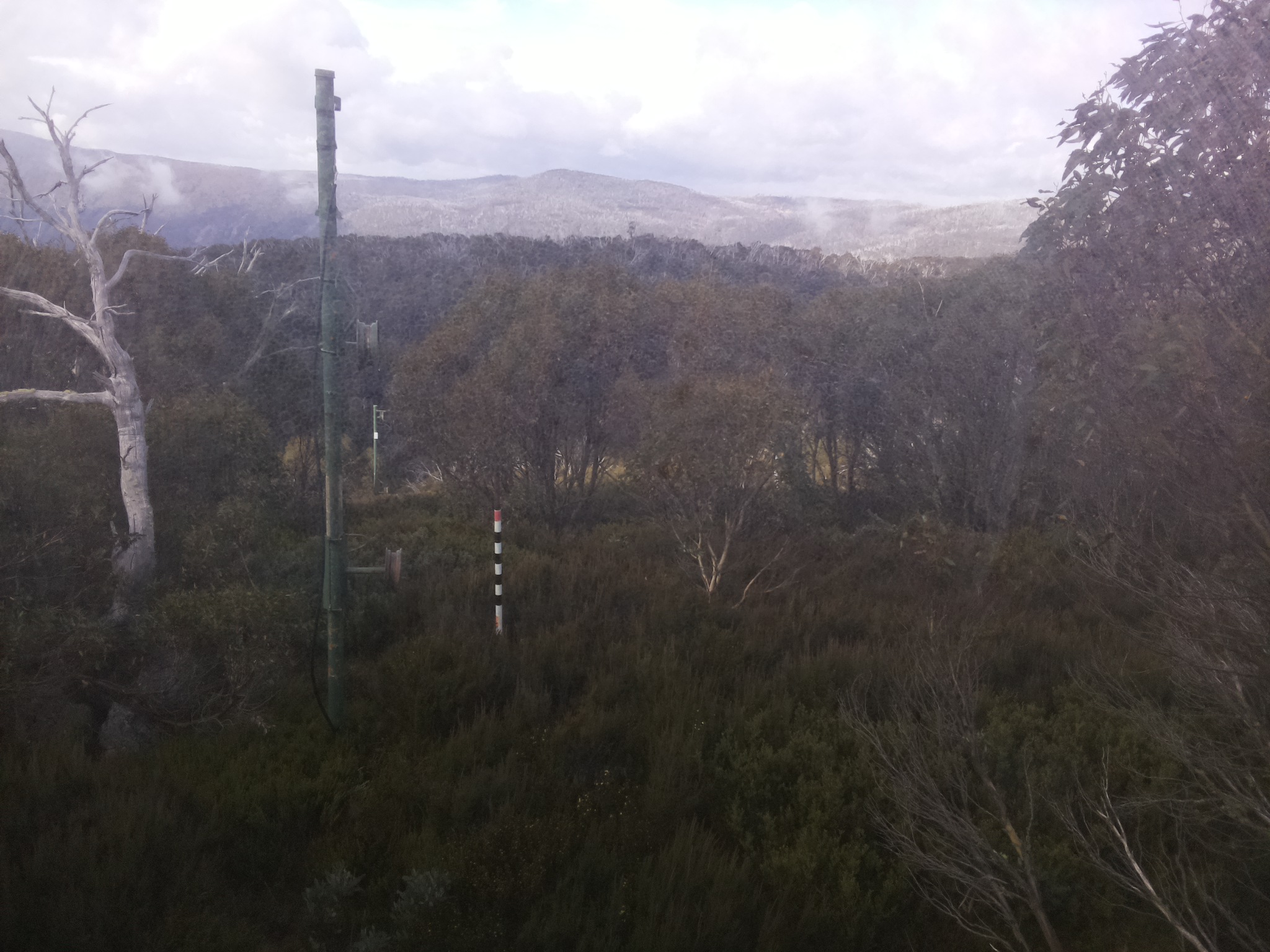 Bogong Web Cam 10:50am Saturday 17th of May 2025