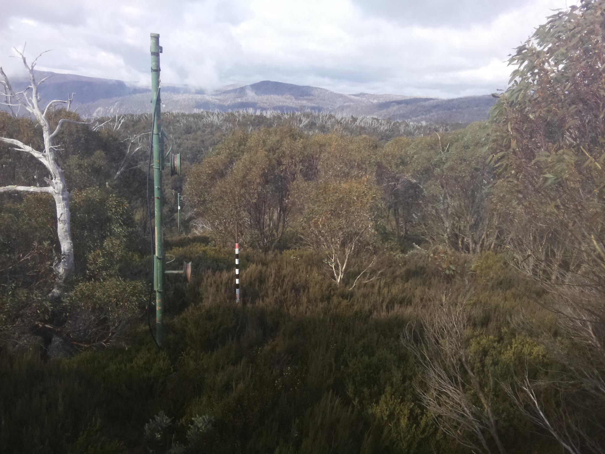 Bogong Web Cam 11:00am Saturday 17th of May 2025