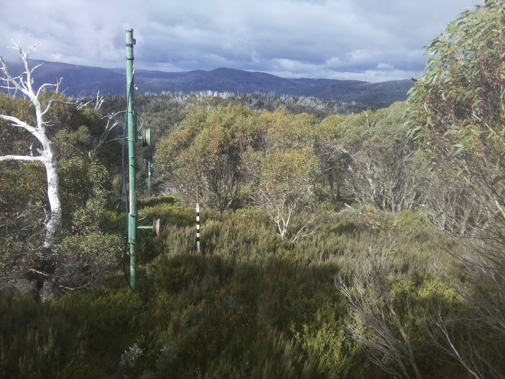 Bogong Web Cam 11:10am Saturday 17th of May 2025