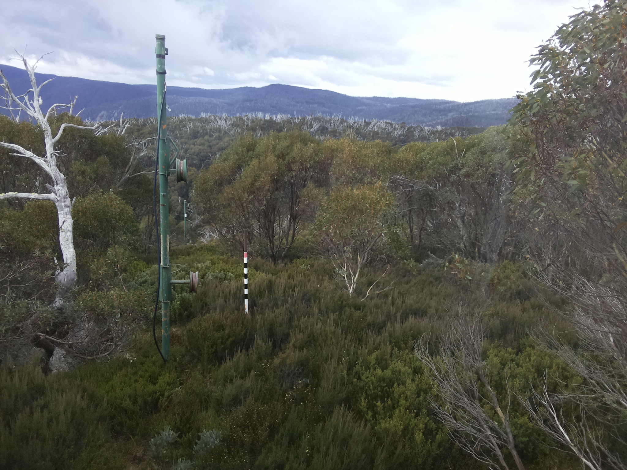Bogong Web Cam 11:20am Saturday 17th of May 2025