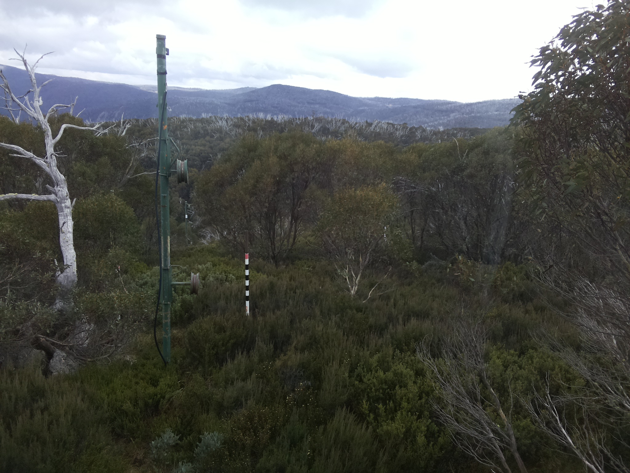 Bogong Web Cam 11:30am Saturday 17th of May 2025