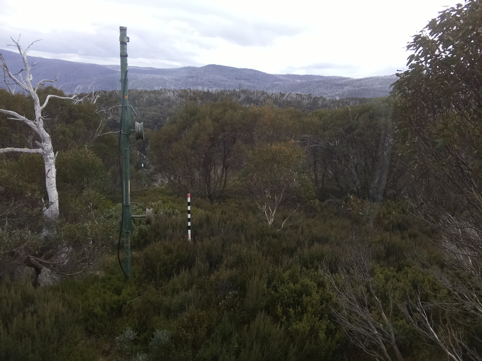 Bogong Web Cam 11:40am Saturday 17th of May 2025