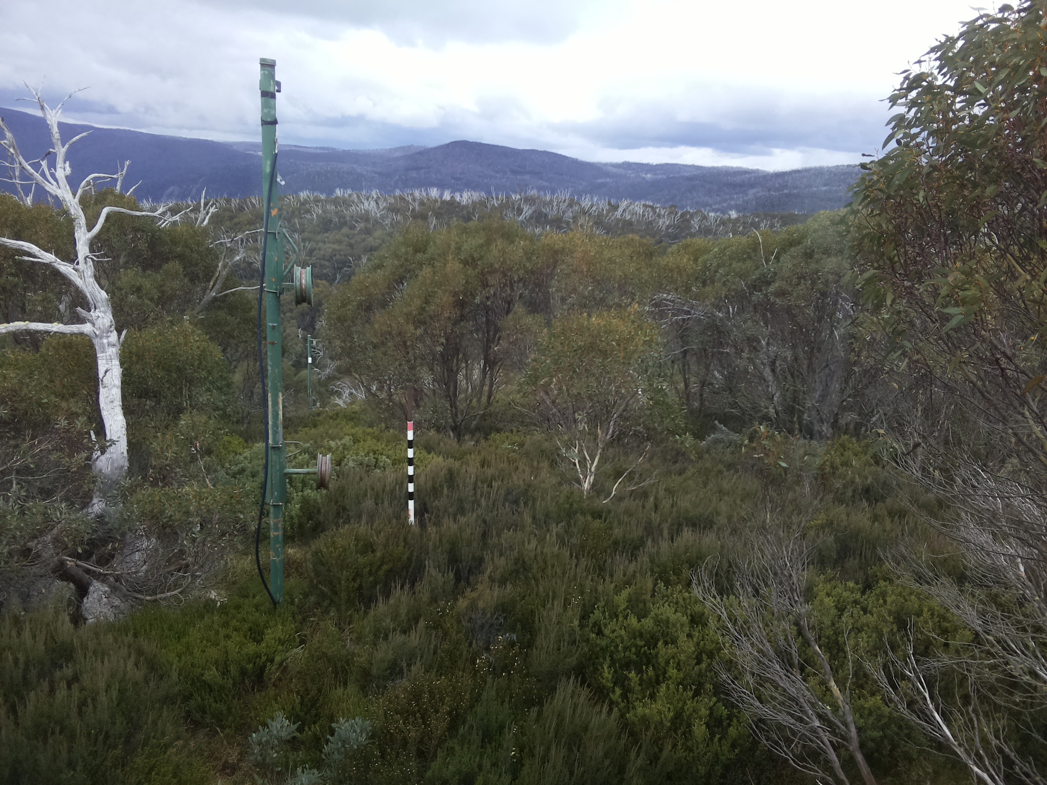 Bogong Web Cam 11:50am Saturday 17th of May 2025