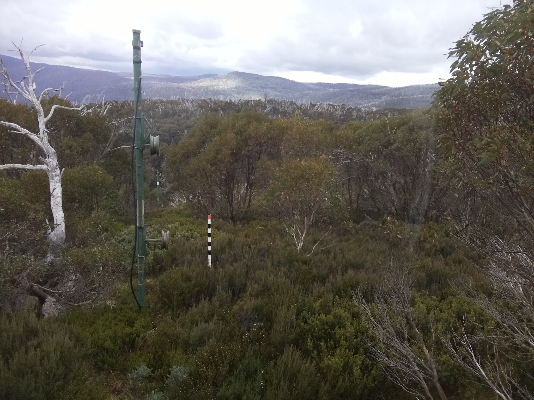Bogong Web Cam 12:00pm Saturday 17th of May 2025
