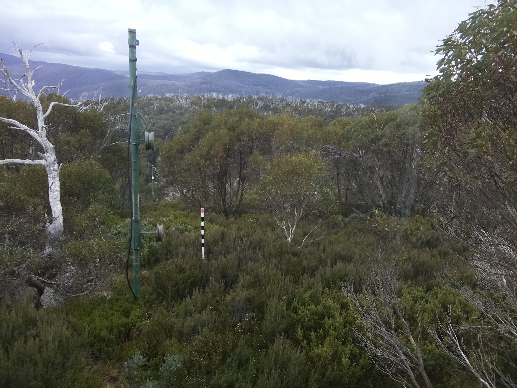 Bogong Web Cam 12:10pm Saturday 17th of May 2025