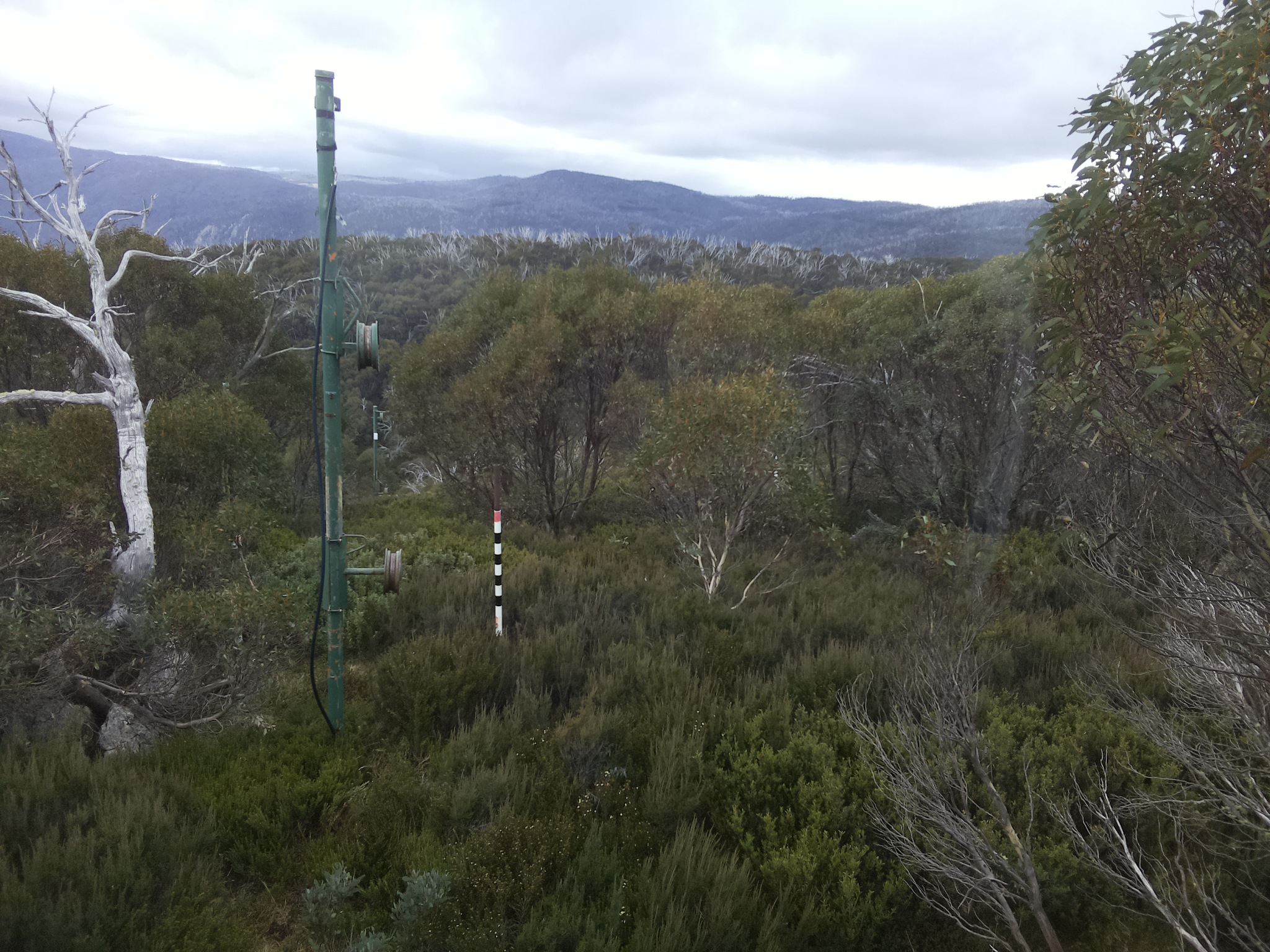 Bogong Web Cam 12:20pm Saturday 17th of May 2025