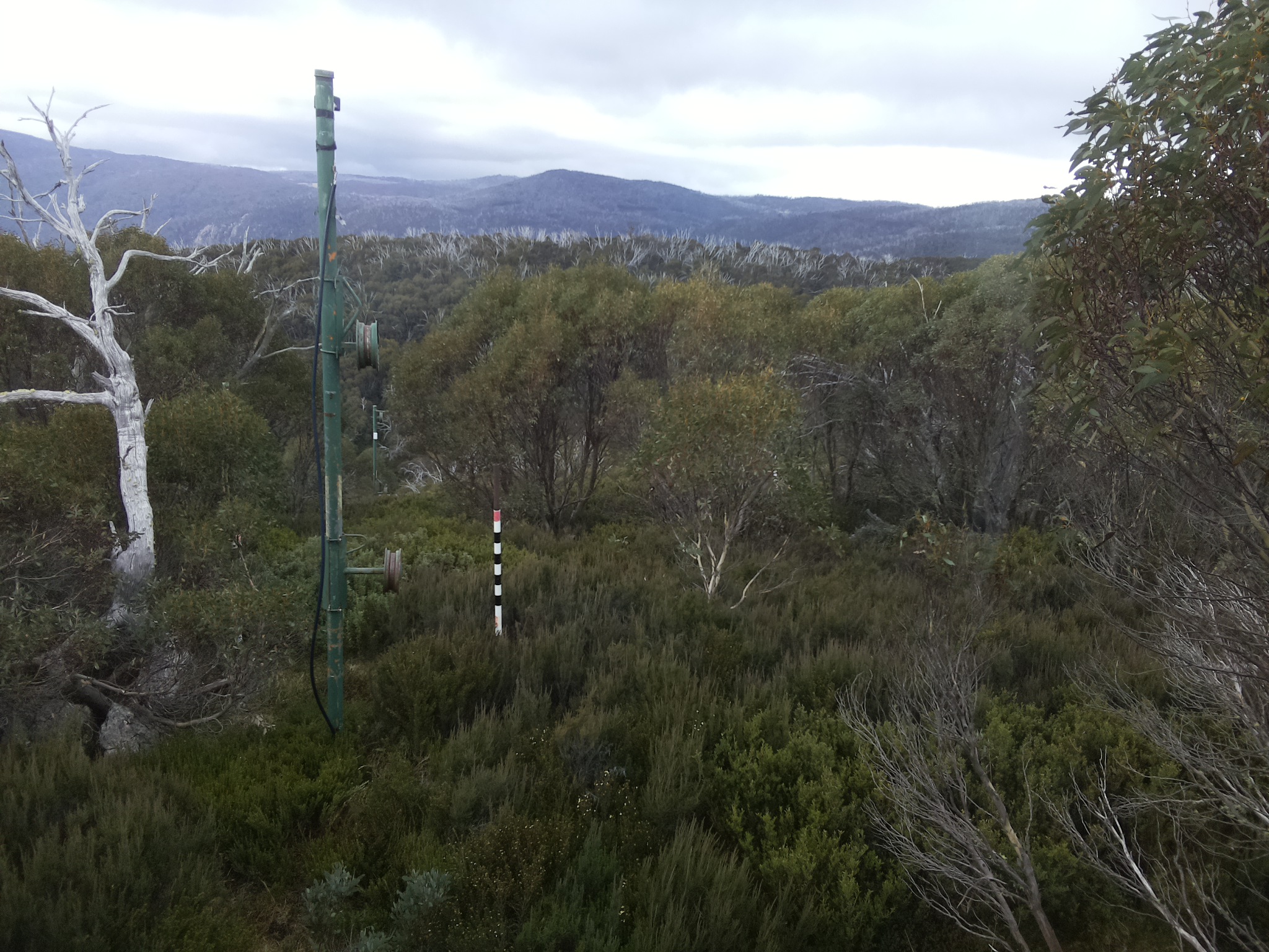 Bogong Web Cam 12:30pm Saturday 17th of May 2025