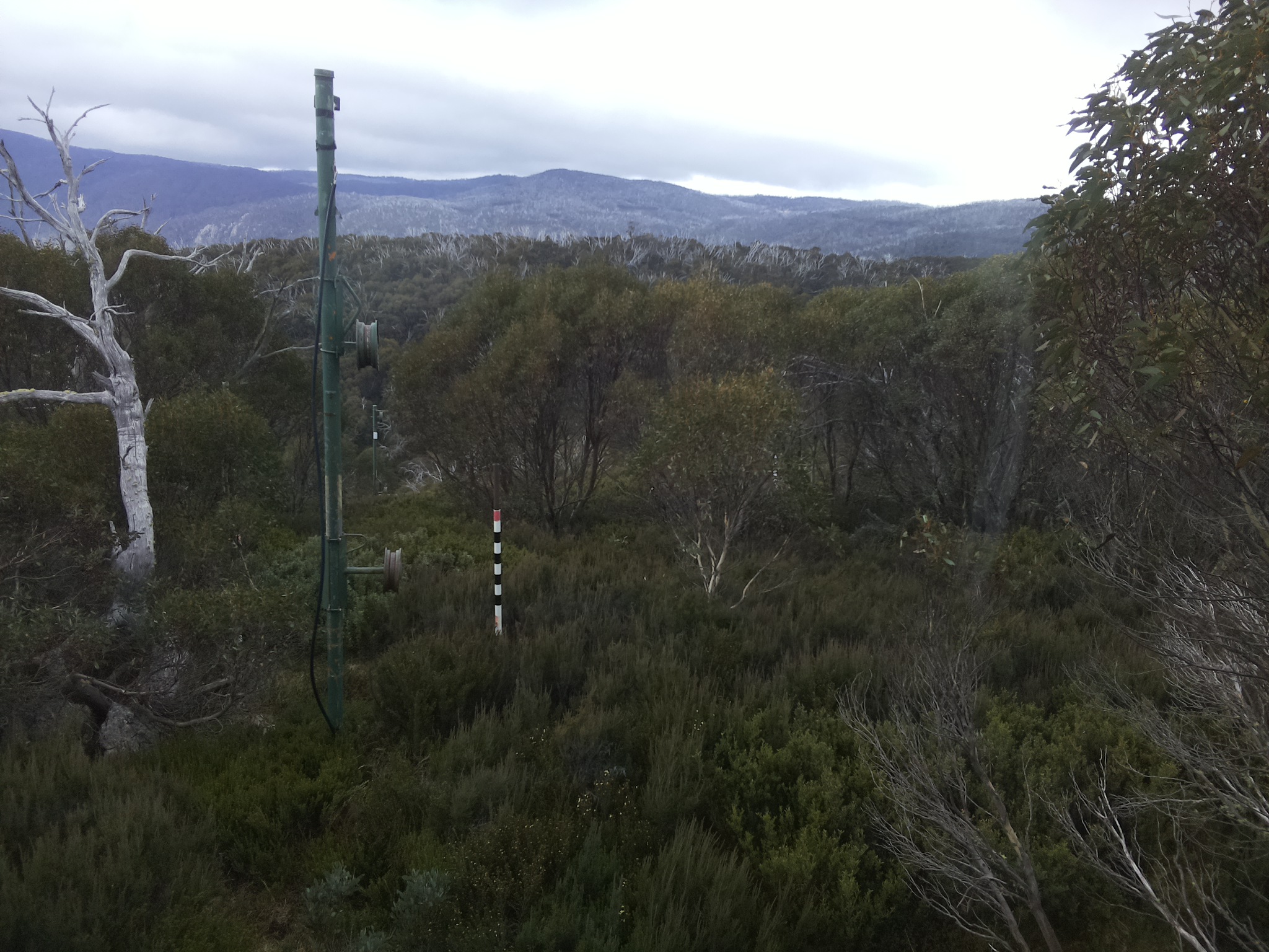 Bogong Web Cam 12:40pm Saturday 17th of May 2025