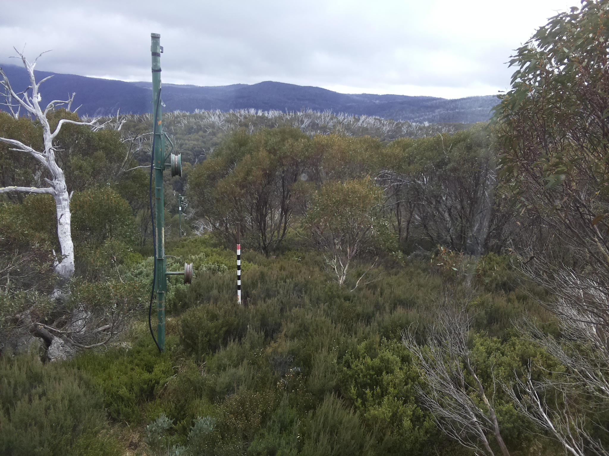 Bogong Web Cam 12:50pm Saturday 17th of May 2025
