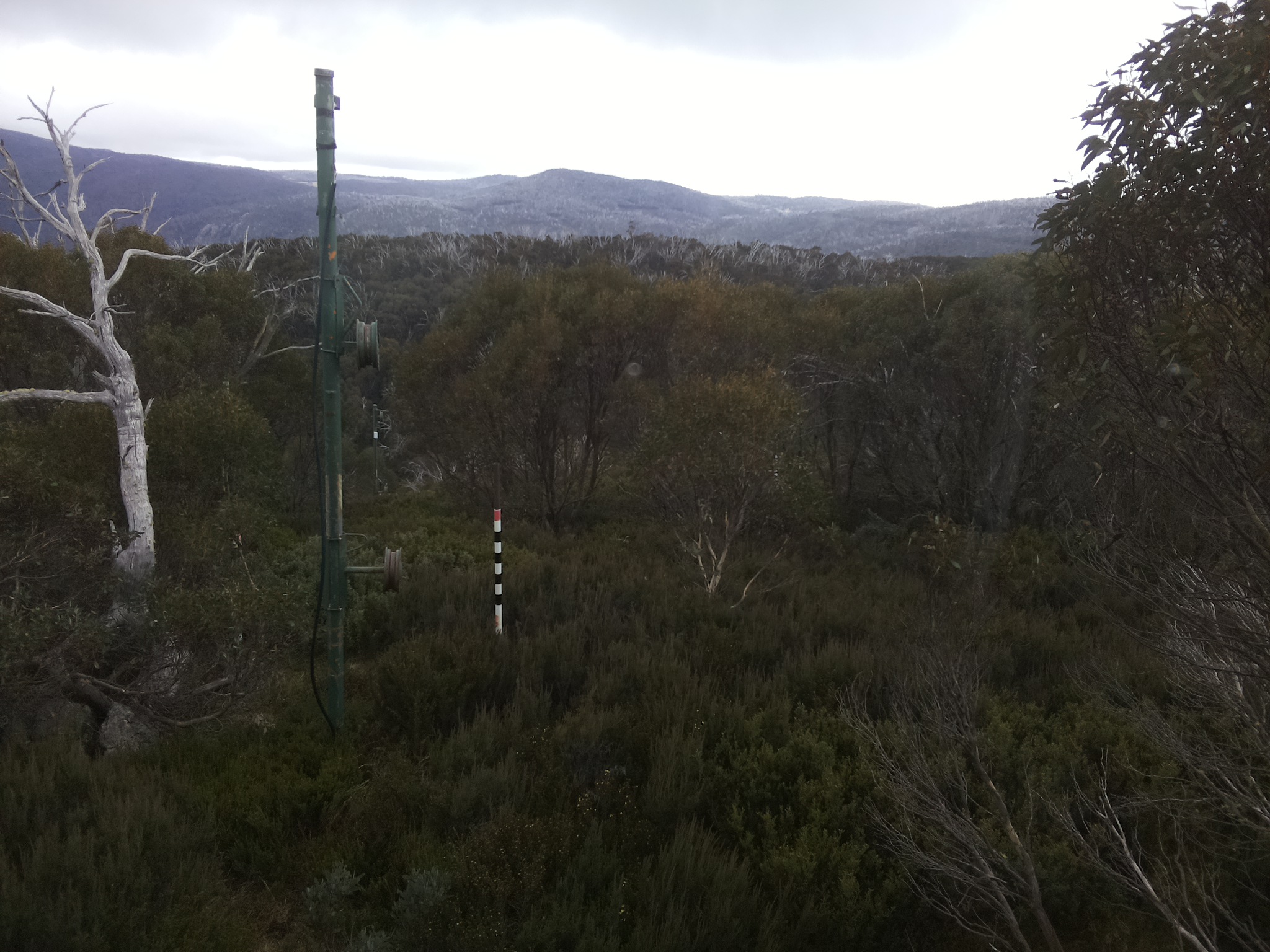 Bogong Web Cam 1:00pm Saturday 17th of May 2025