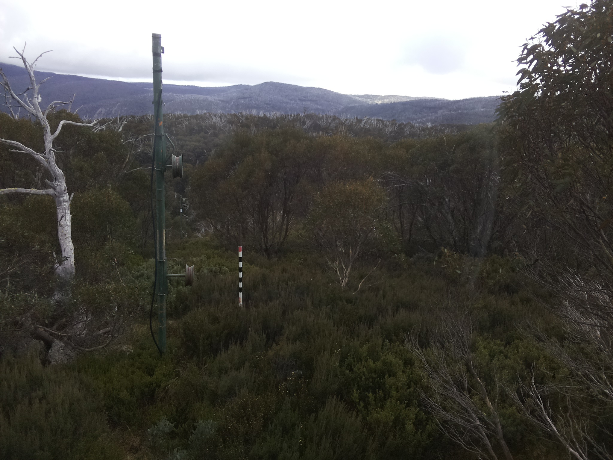 Bogong Web Cam 1:10pm Saturday 17th of May 2025