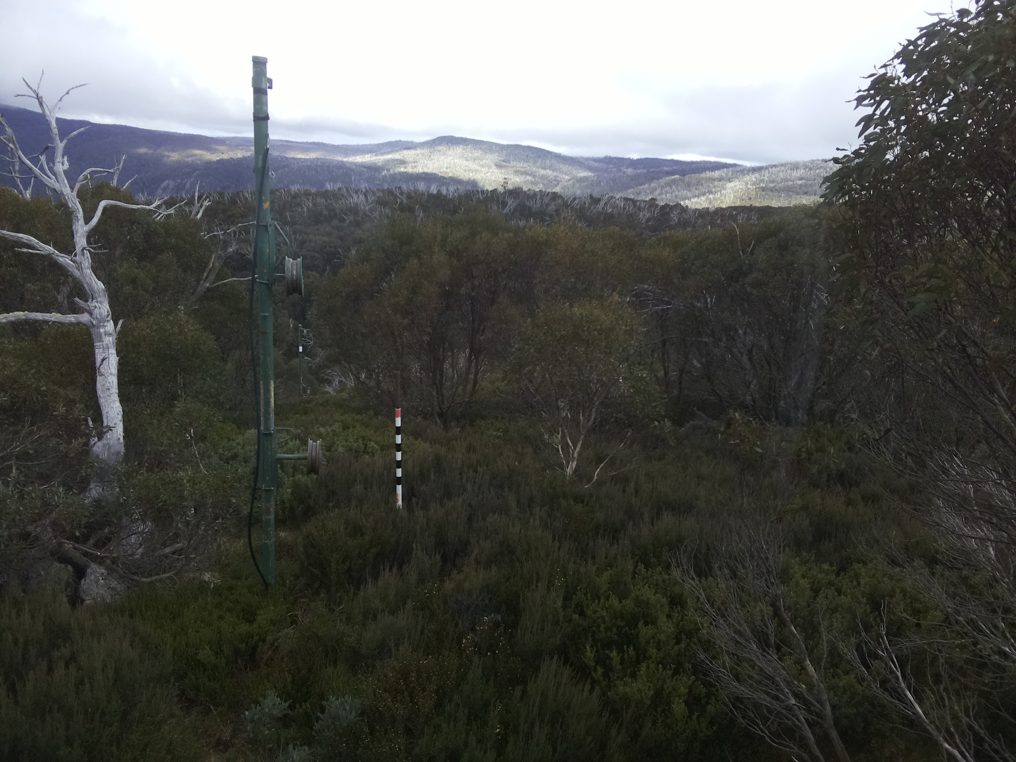 Bogong Web Cam 1:20pm Saturday 17th of May 2025