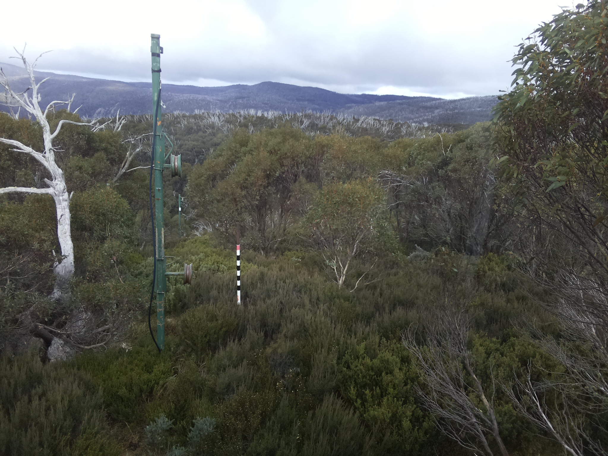 Bogong Web Cam 1:30pm Saturday 17th of May 2025