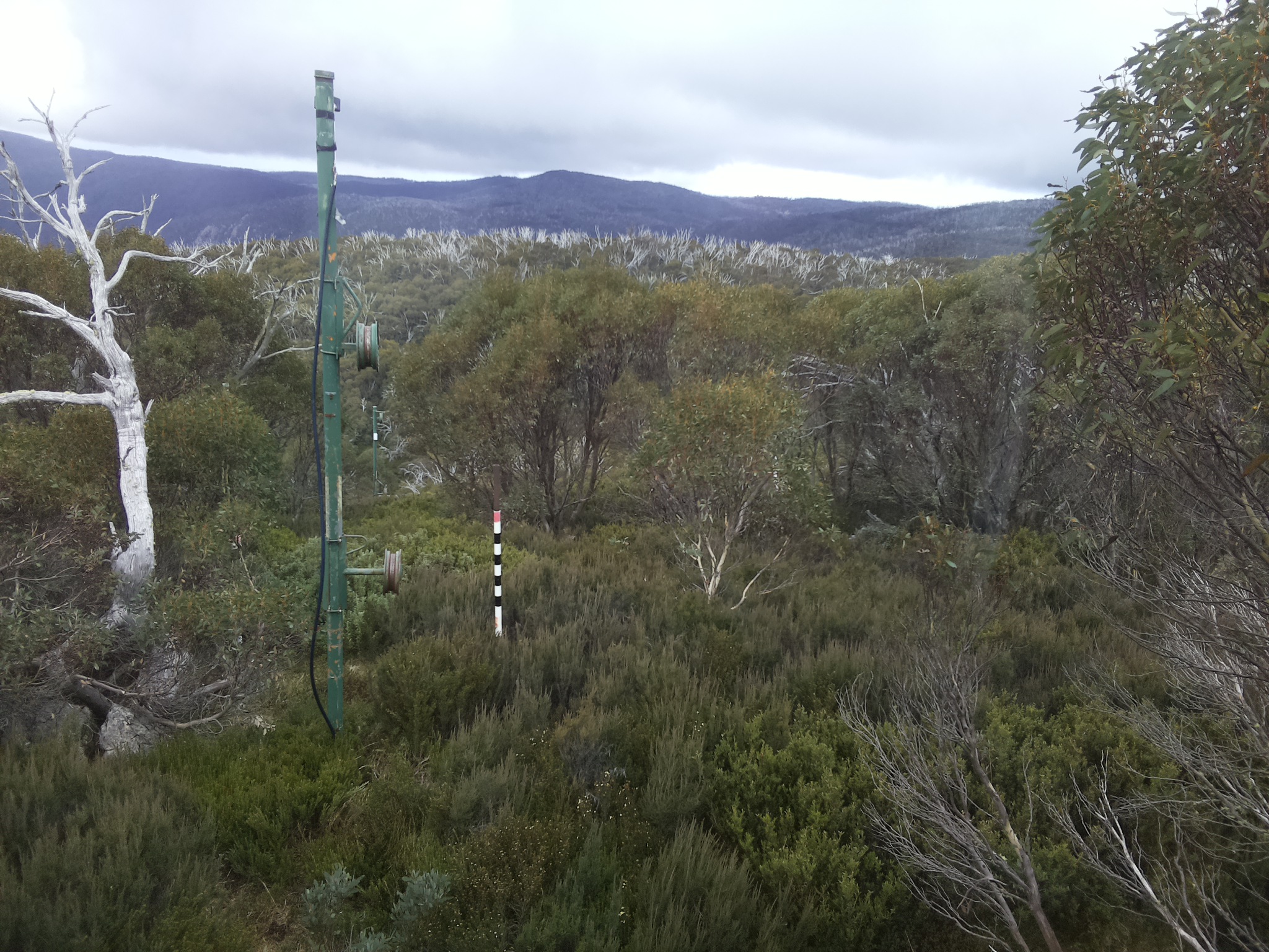 Bogong Web Cam 1:40pm Saturday 17th of May 2025
