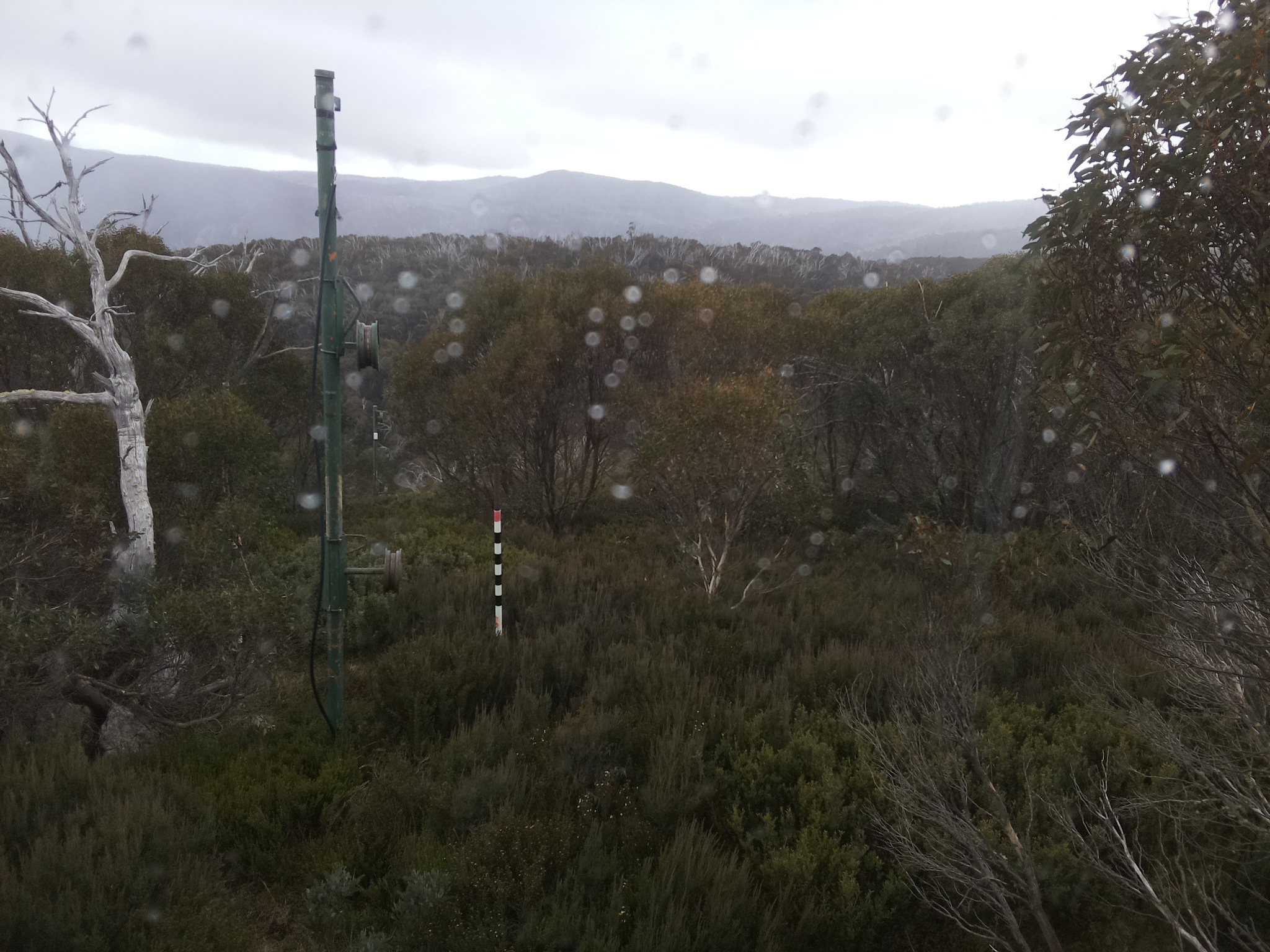 Bogong Web Cam 1:50pm Saturday 17th of May 2025
