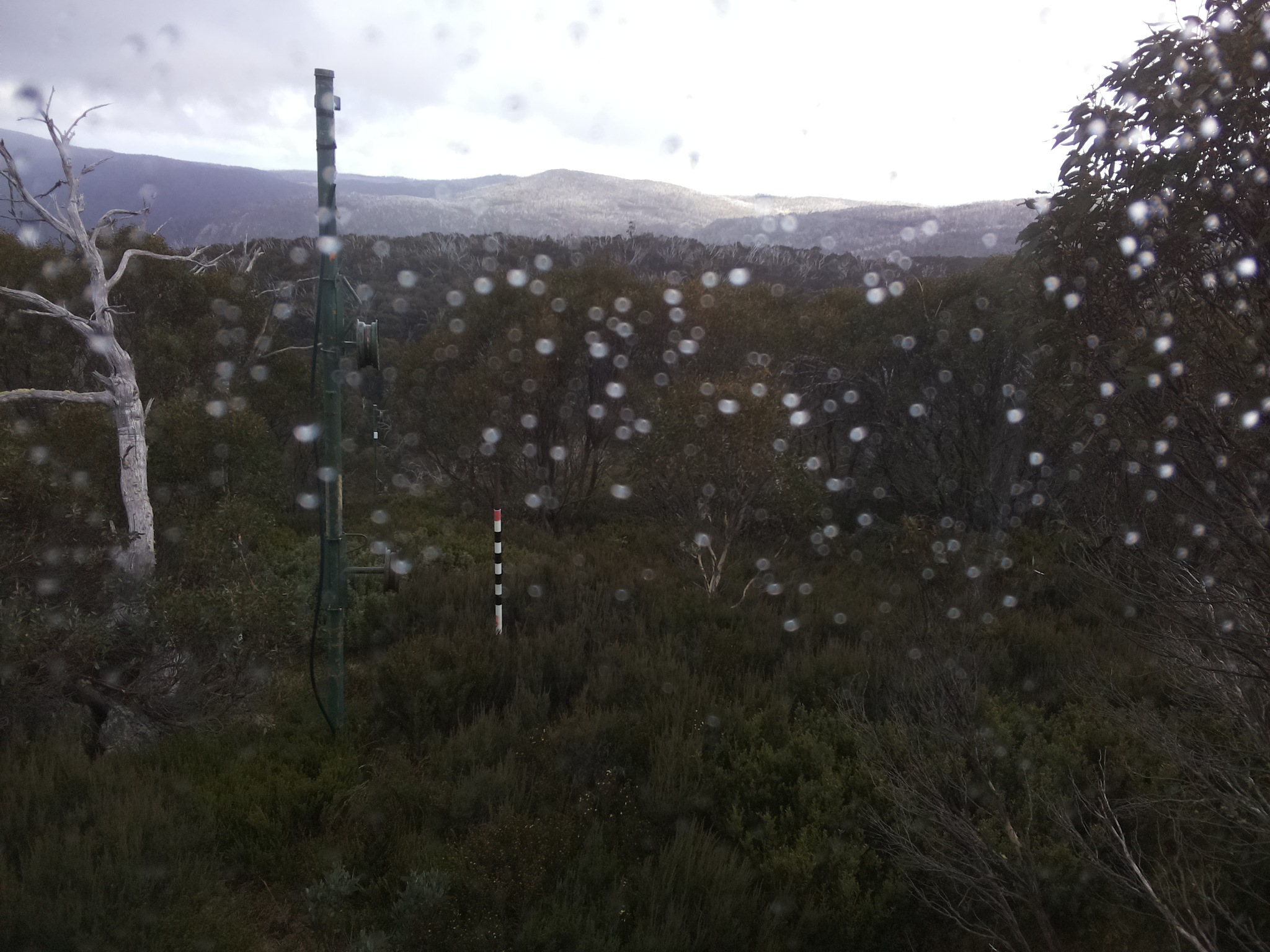 Bogong Web Cam 2:00pm Saturday 17th of May 2025