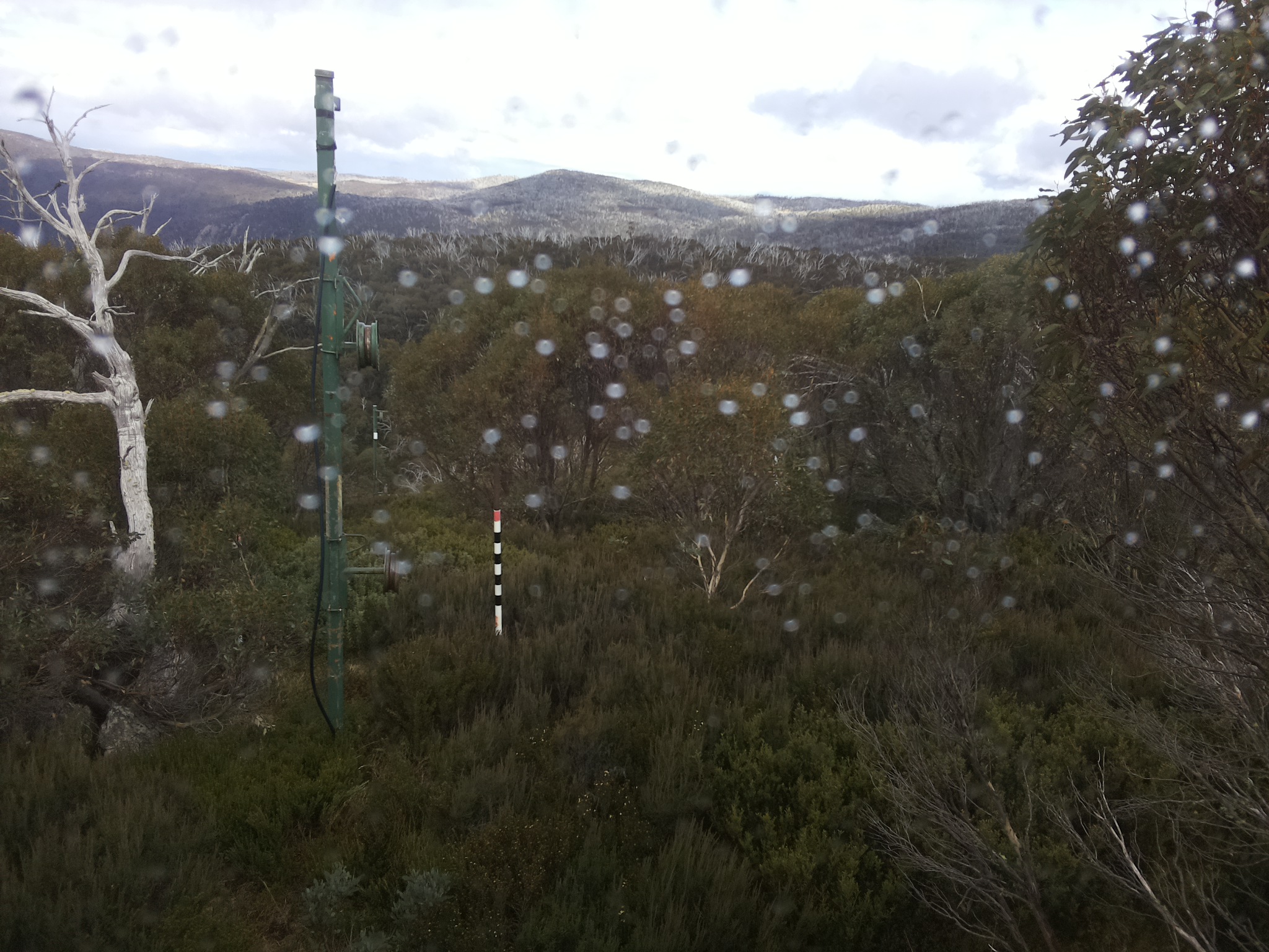 Bogong Web Cam 2:10pm Saturday 17th of May 2025