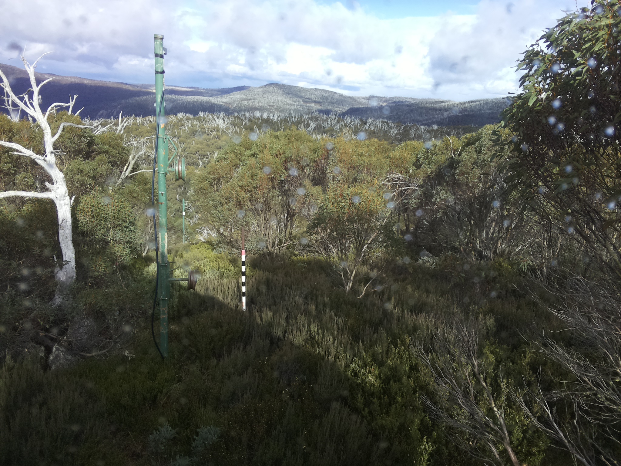 Bogong Web Cam 2:20pm Saturday 17th of May 2025