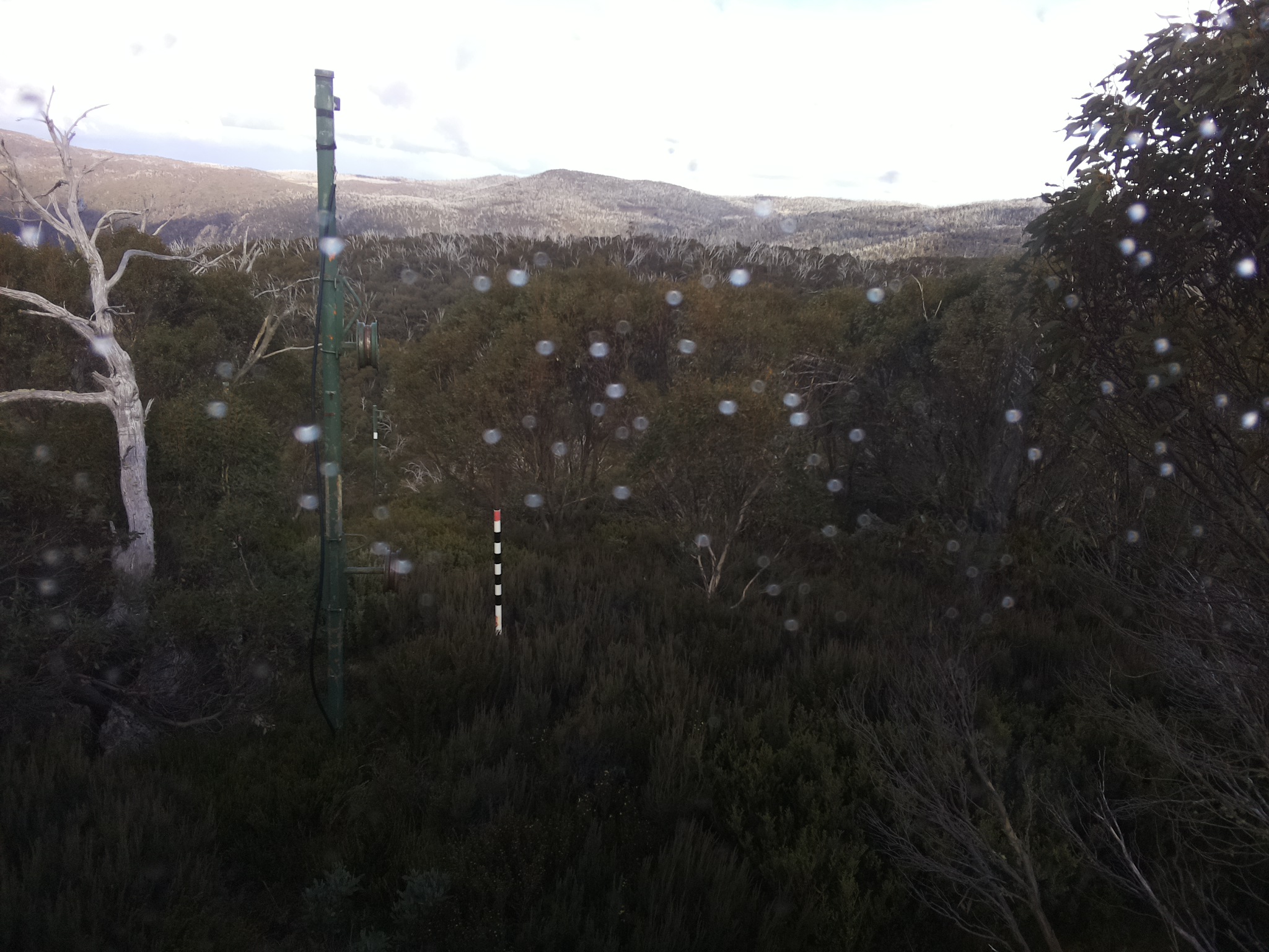 Bogong Web Cam 2:30pm Saturday 17th of May 2025