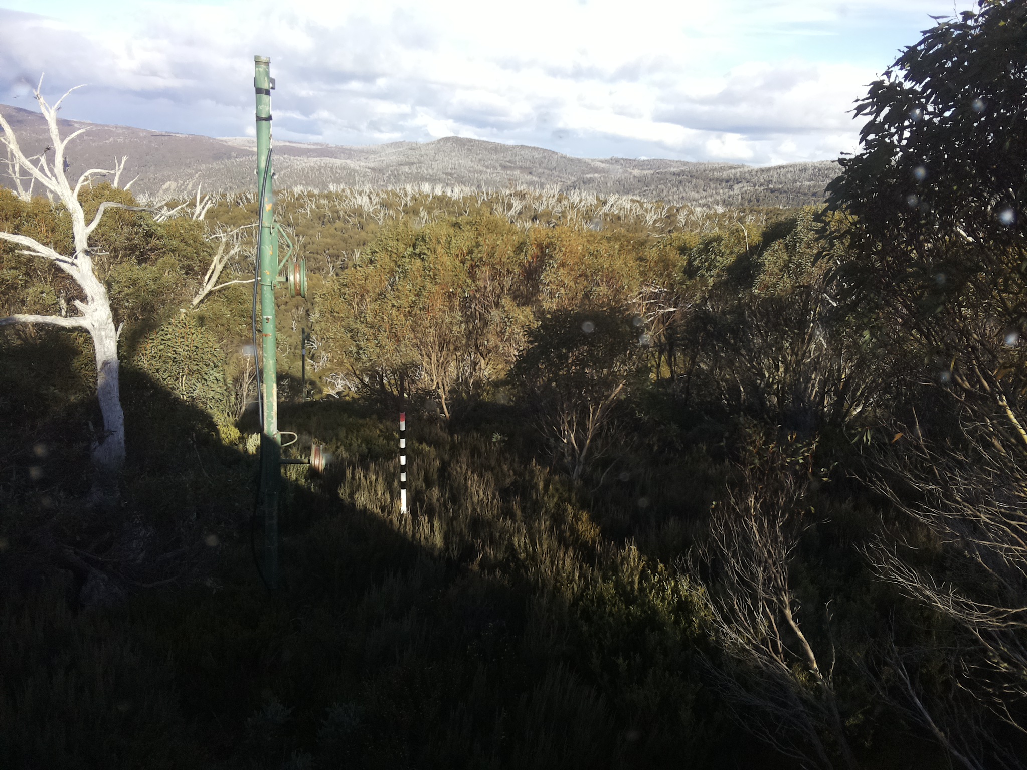 Bogong Web Cam 3:00pm Saturday 17th of May 2025