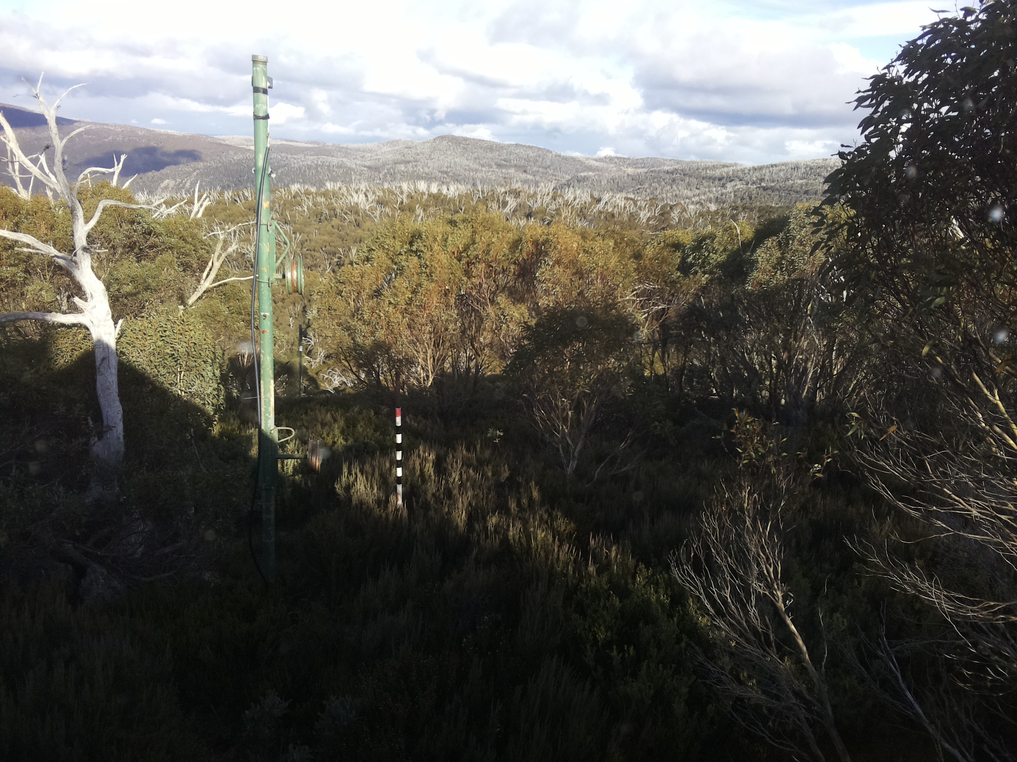 Bogong Web Cam 3:10pm Saturday 17th of May 2025