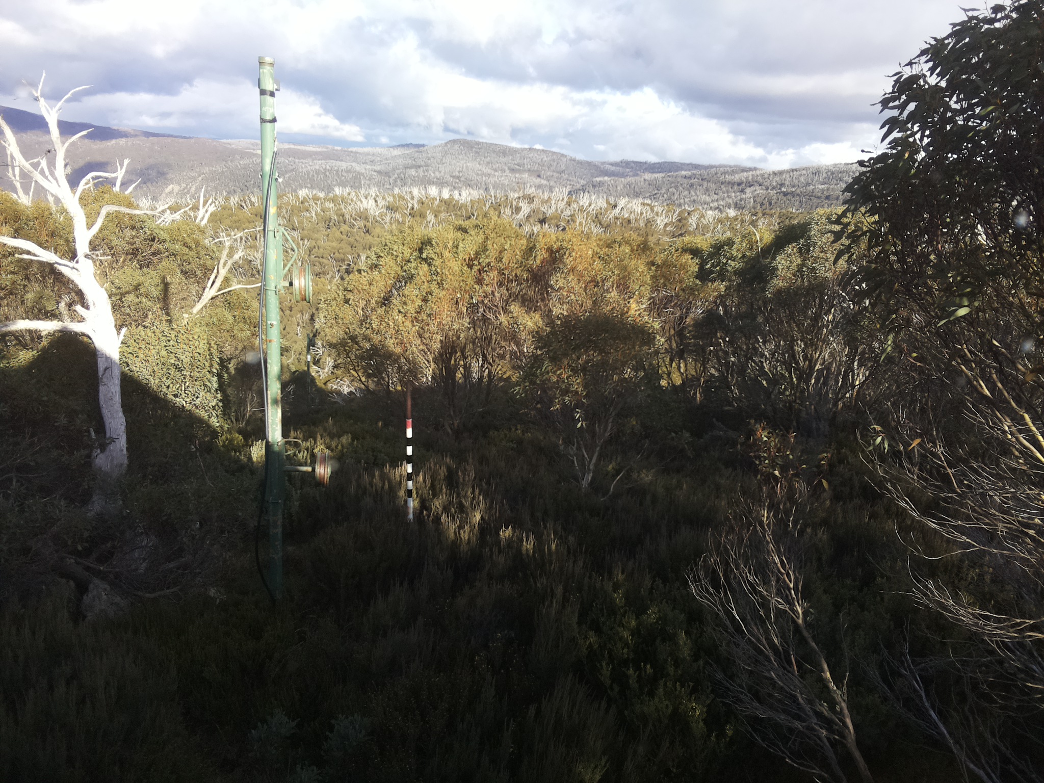 Bogong Web Cam 3:20pm Saturday 17th of May 2025