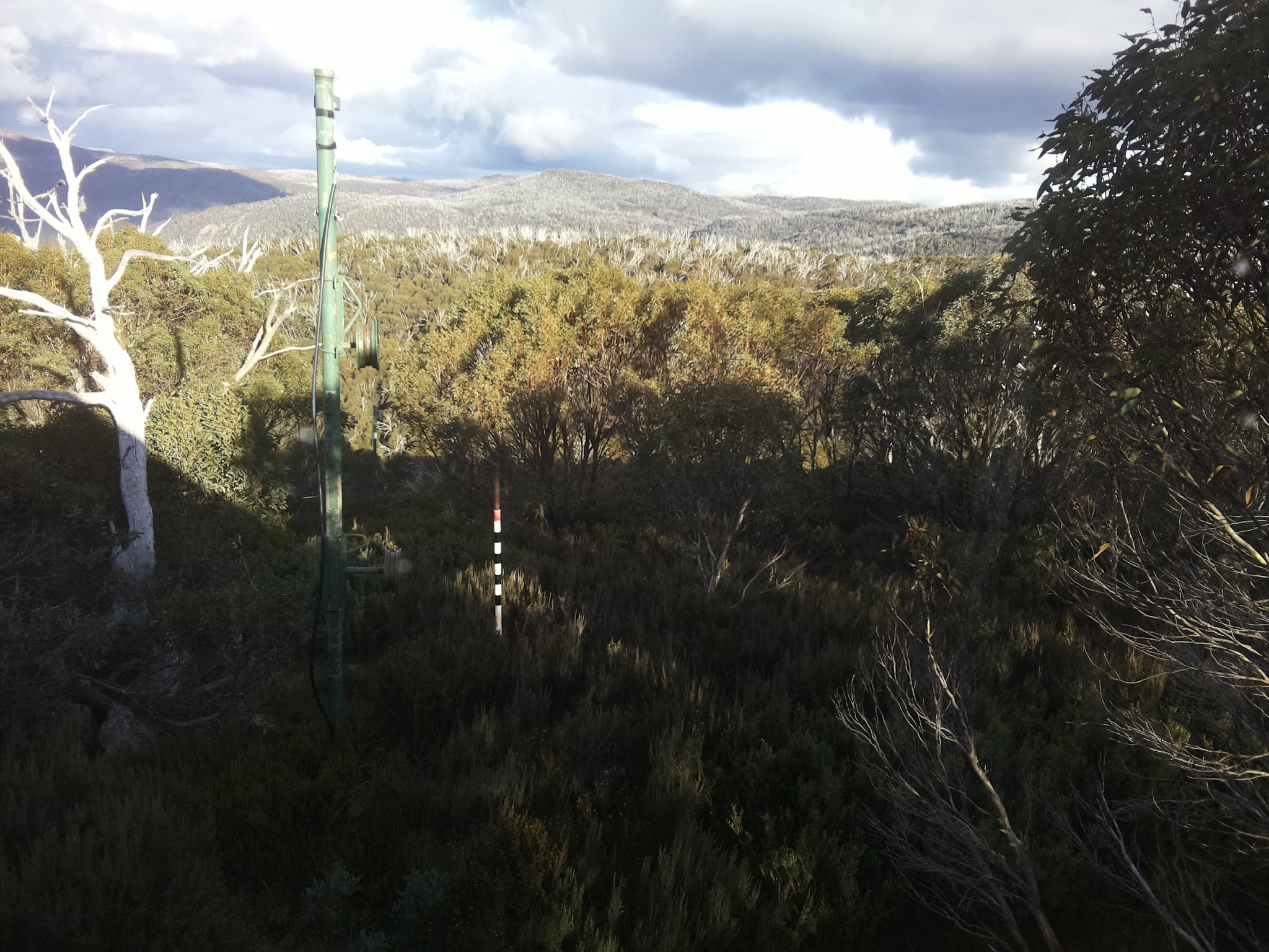 Bogong Web Cam 3:30pm Saturday 17th of May 2025