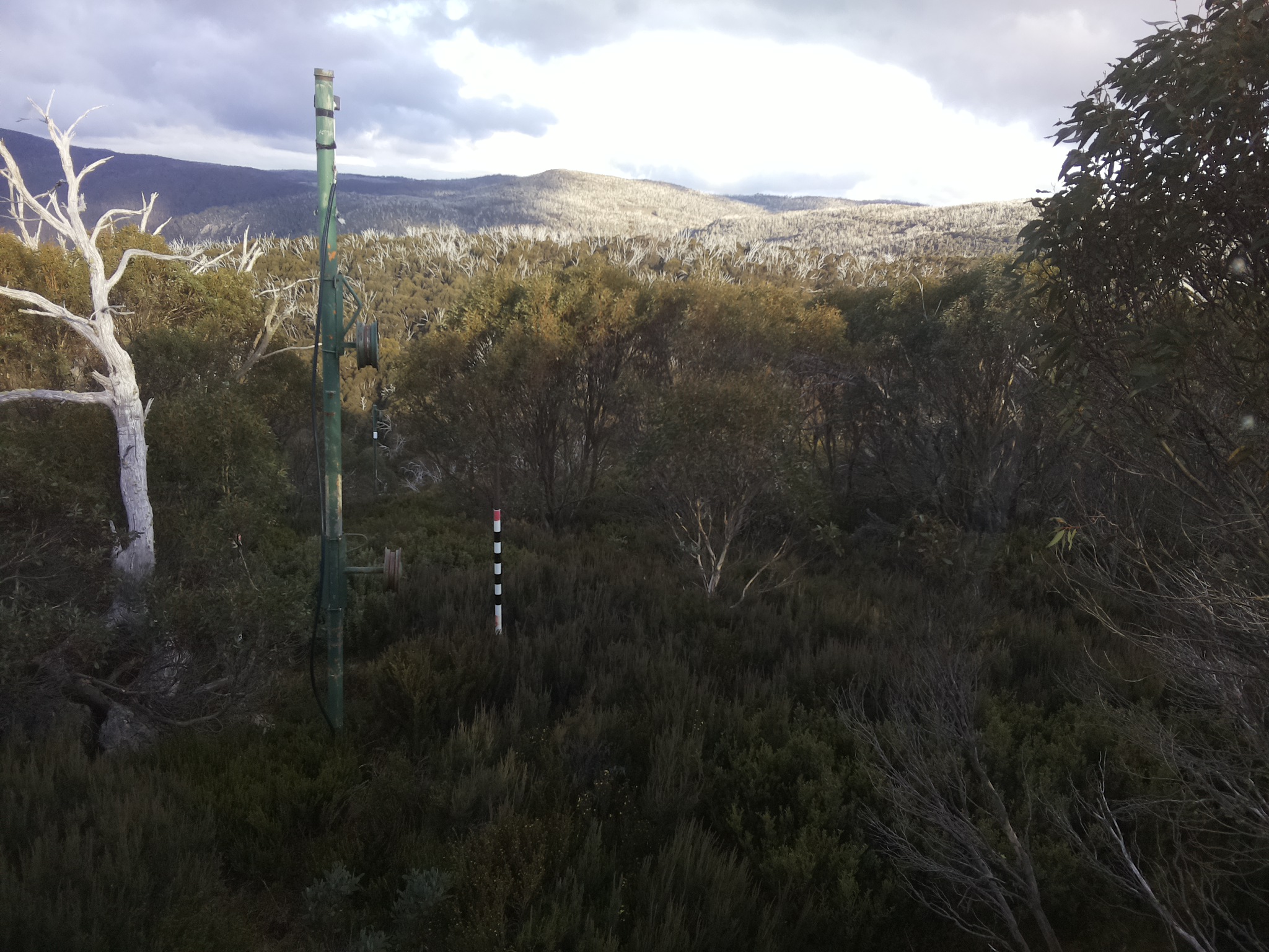 Bogong Web Cam 3:50pm Saturday 17th of May 2025